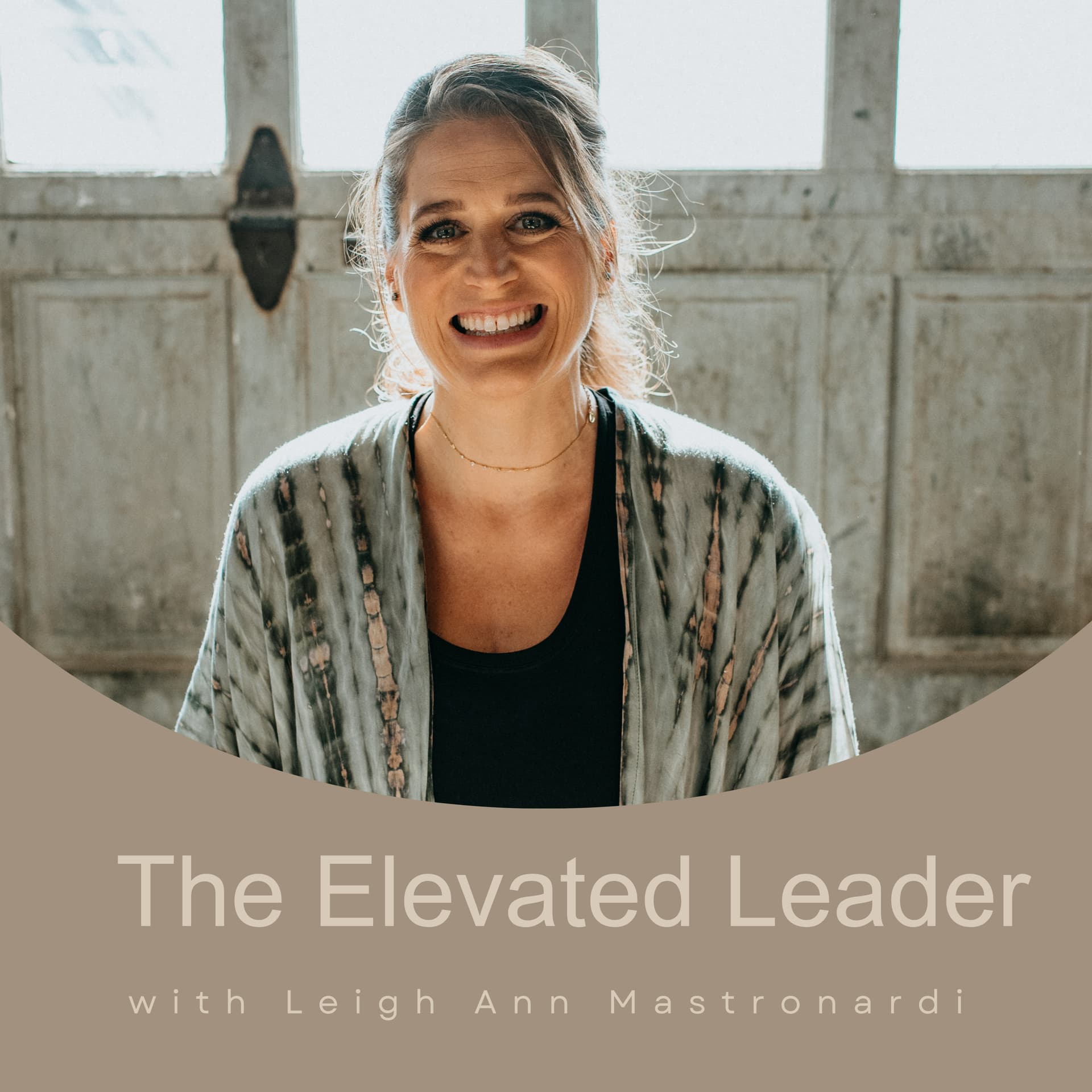 The Elevated Leader with Leigh Ann Mastronardi - Podcasts