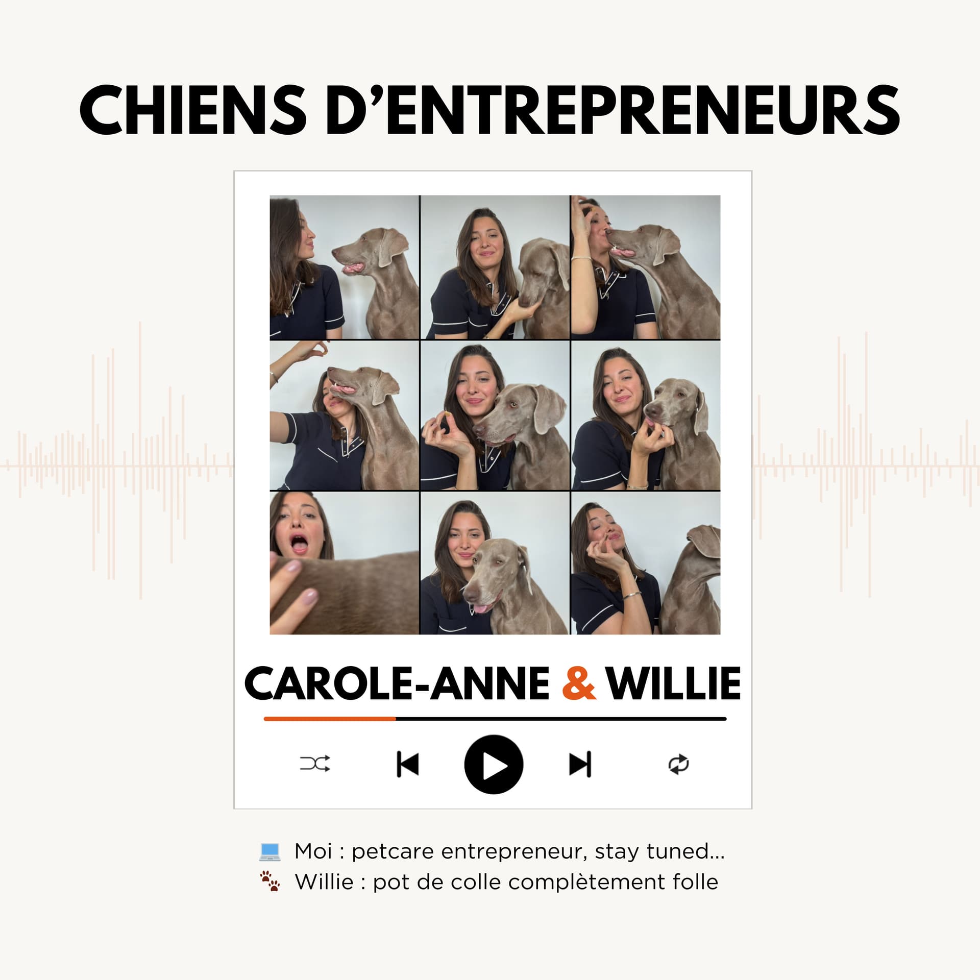 Chiens d'entrepreneurs - Podcasts
