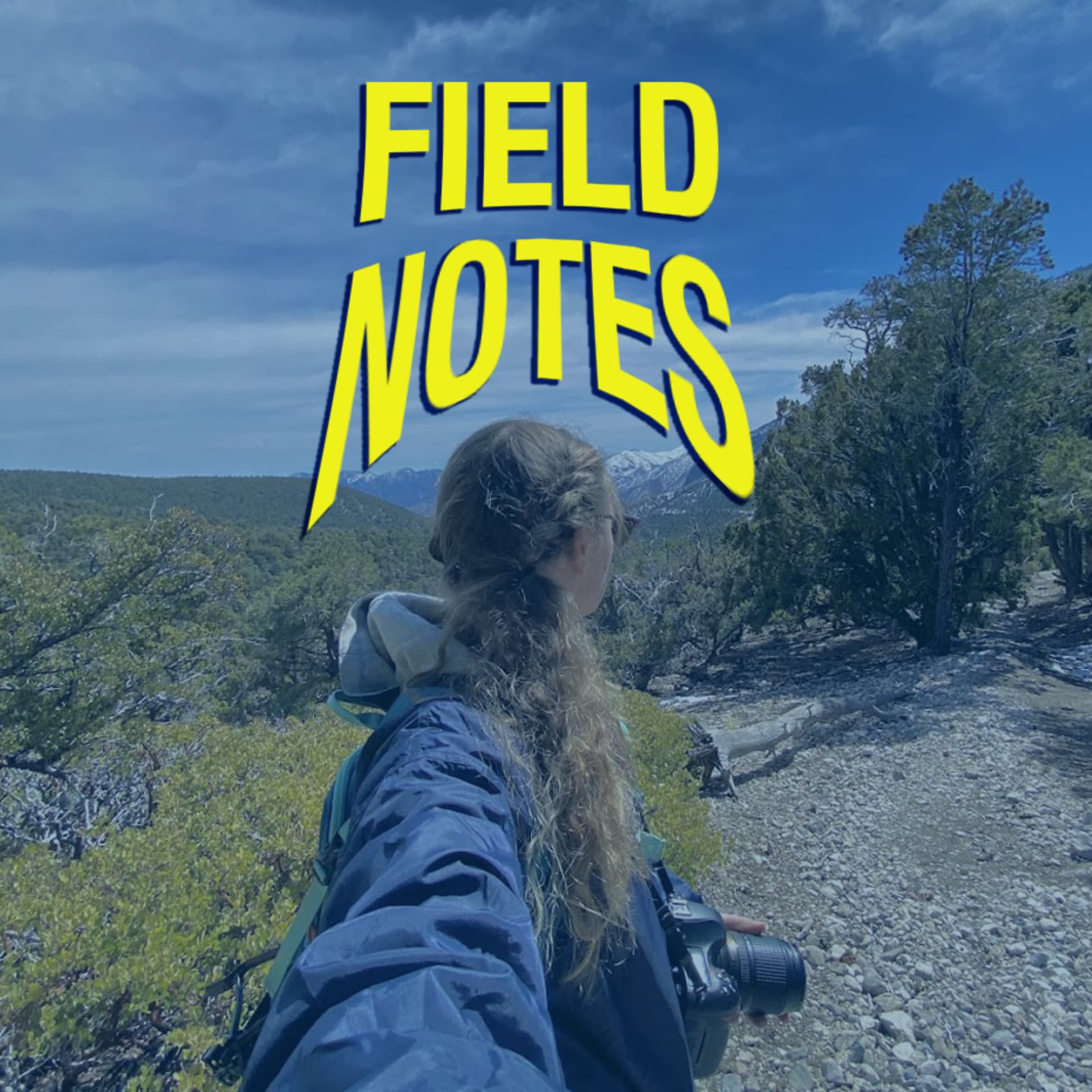 Field Notes by Jamie - Podcasts