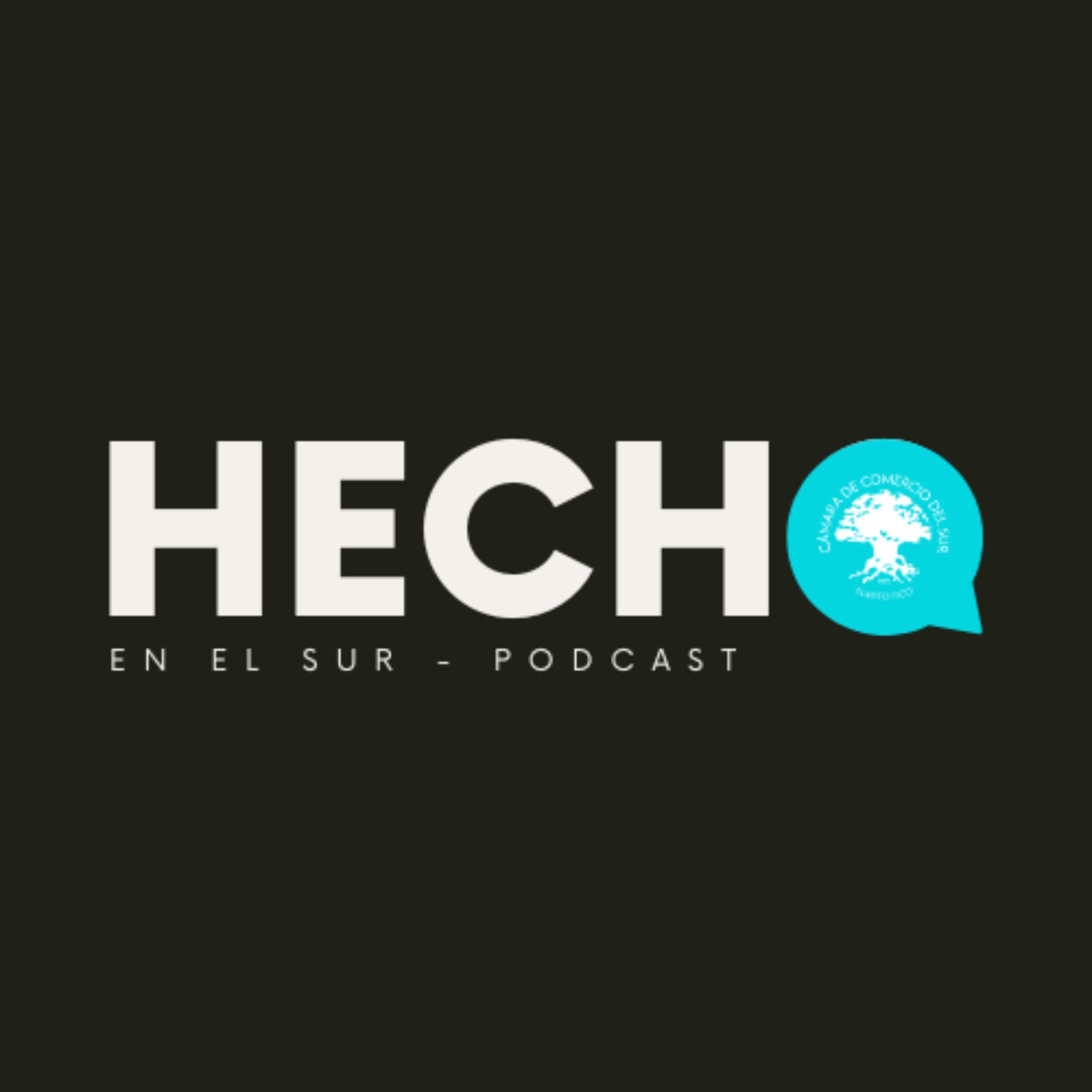 Hecho en el Sur - Podcasts