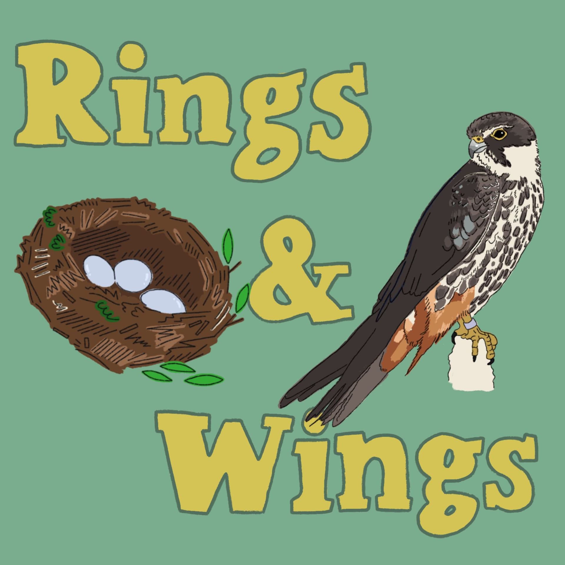 Rings & Wings - Podcasts