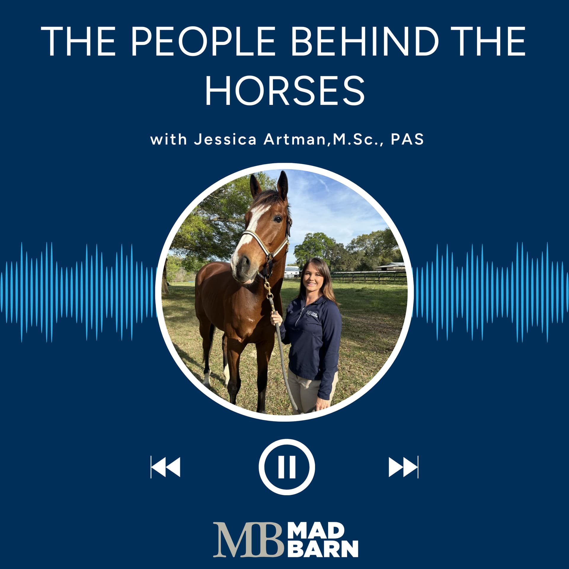 The People Behind The Horses - Podcasts