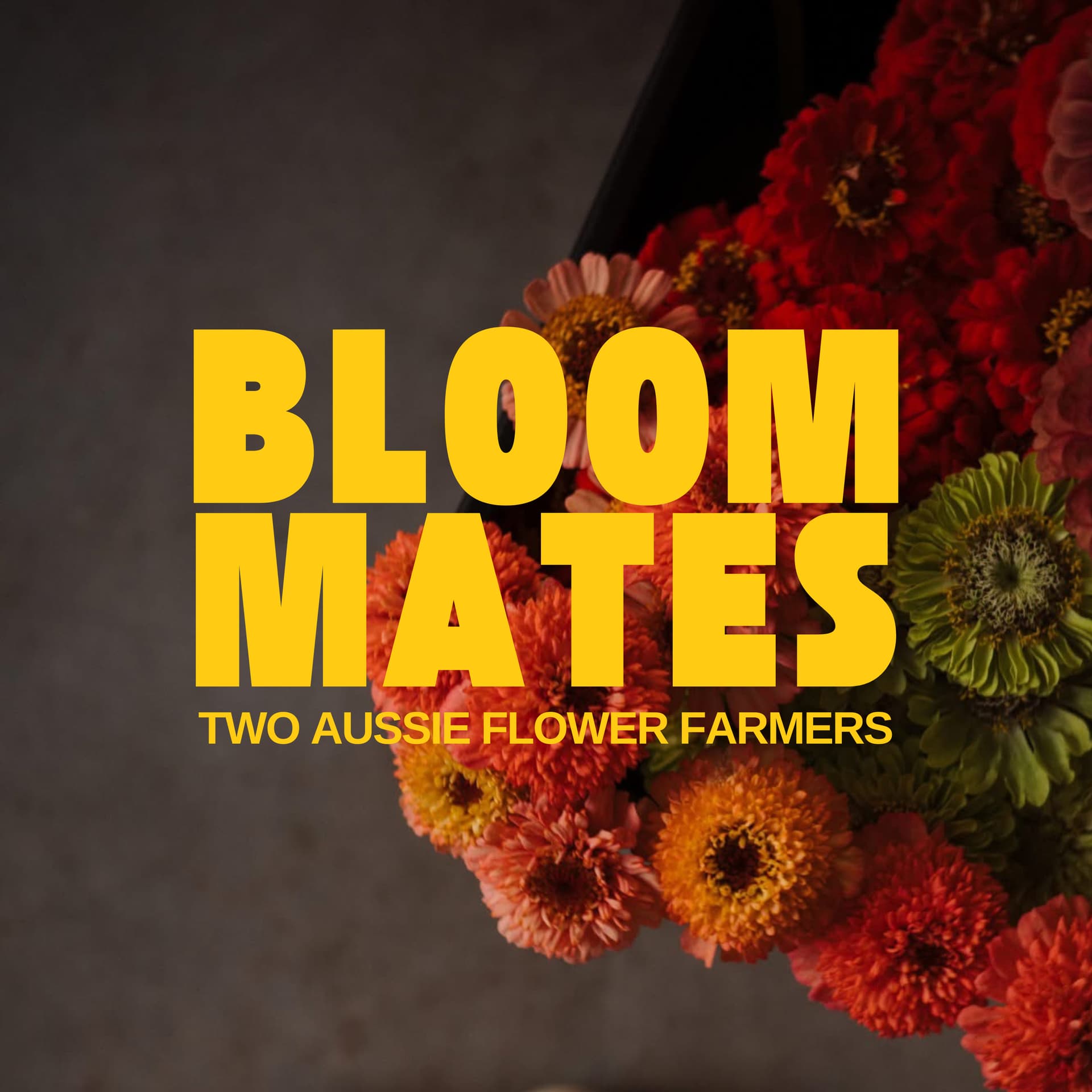 Bloommates - Podcasts