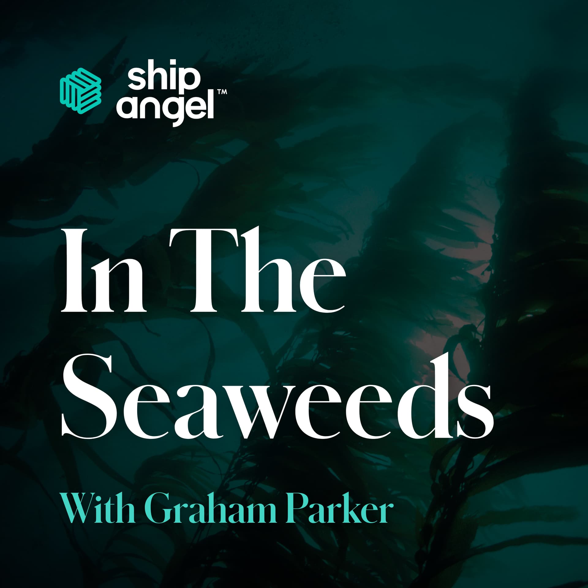 In The Seaweeds - Podcasts