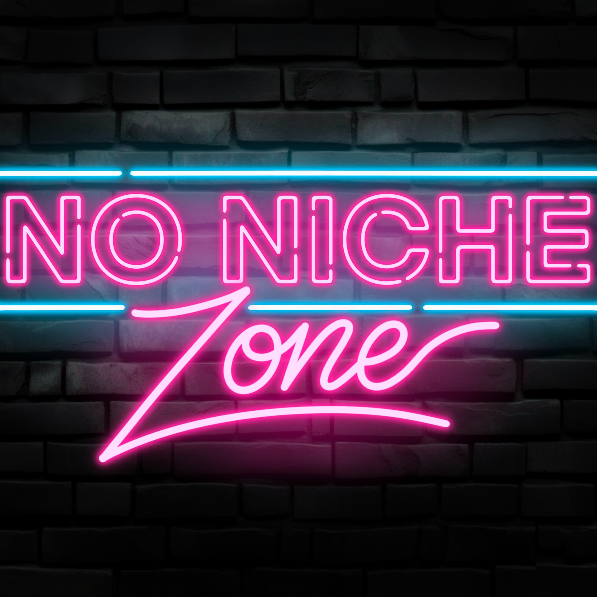 No Niche Zone Podcast - Podcasts