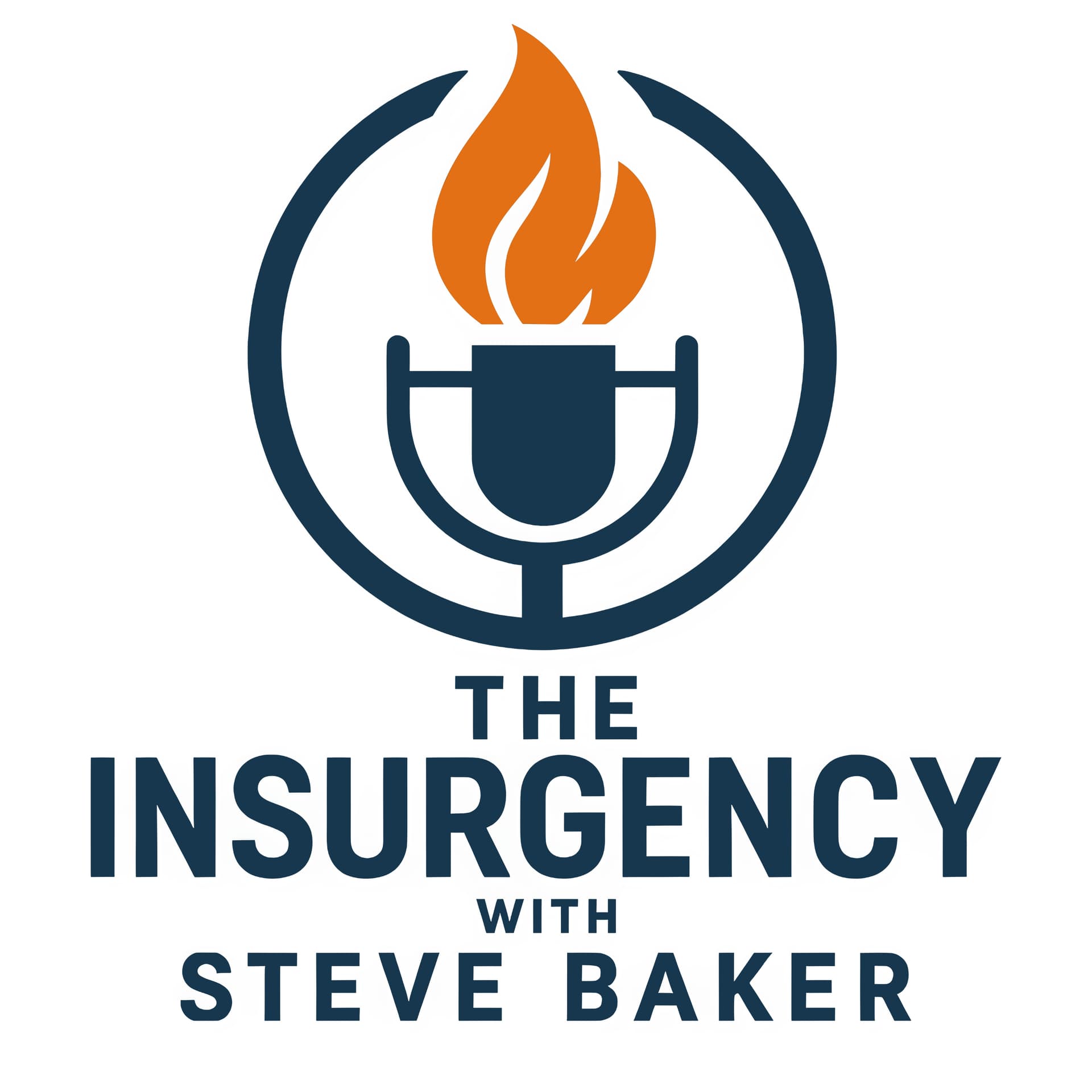 The Insurgency with Steve Baker - Podcasts