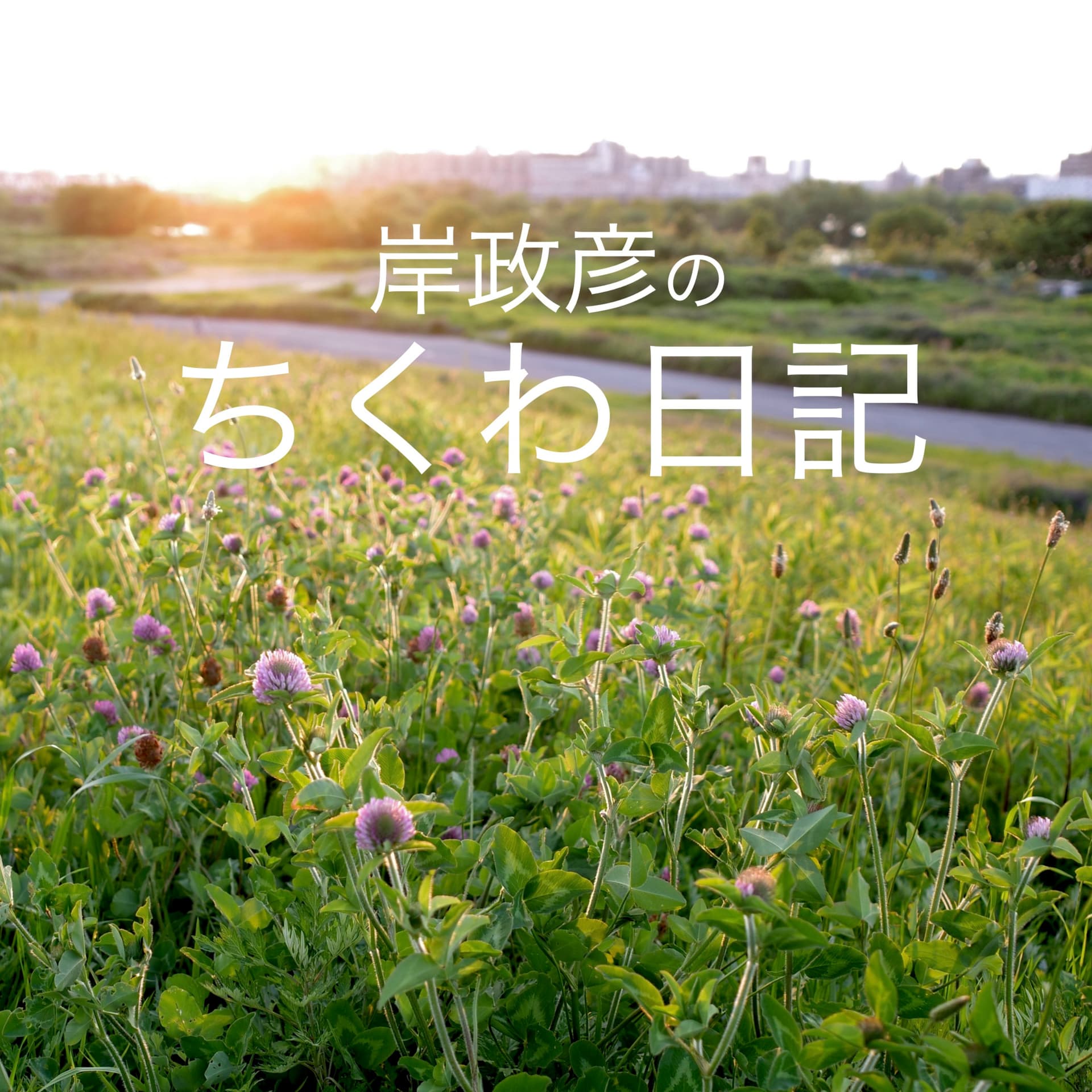 岸政彦のちくわ日記 - Podcasts