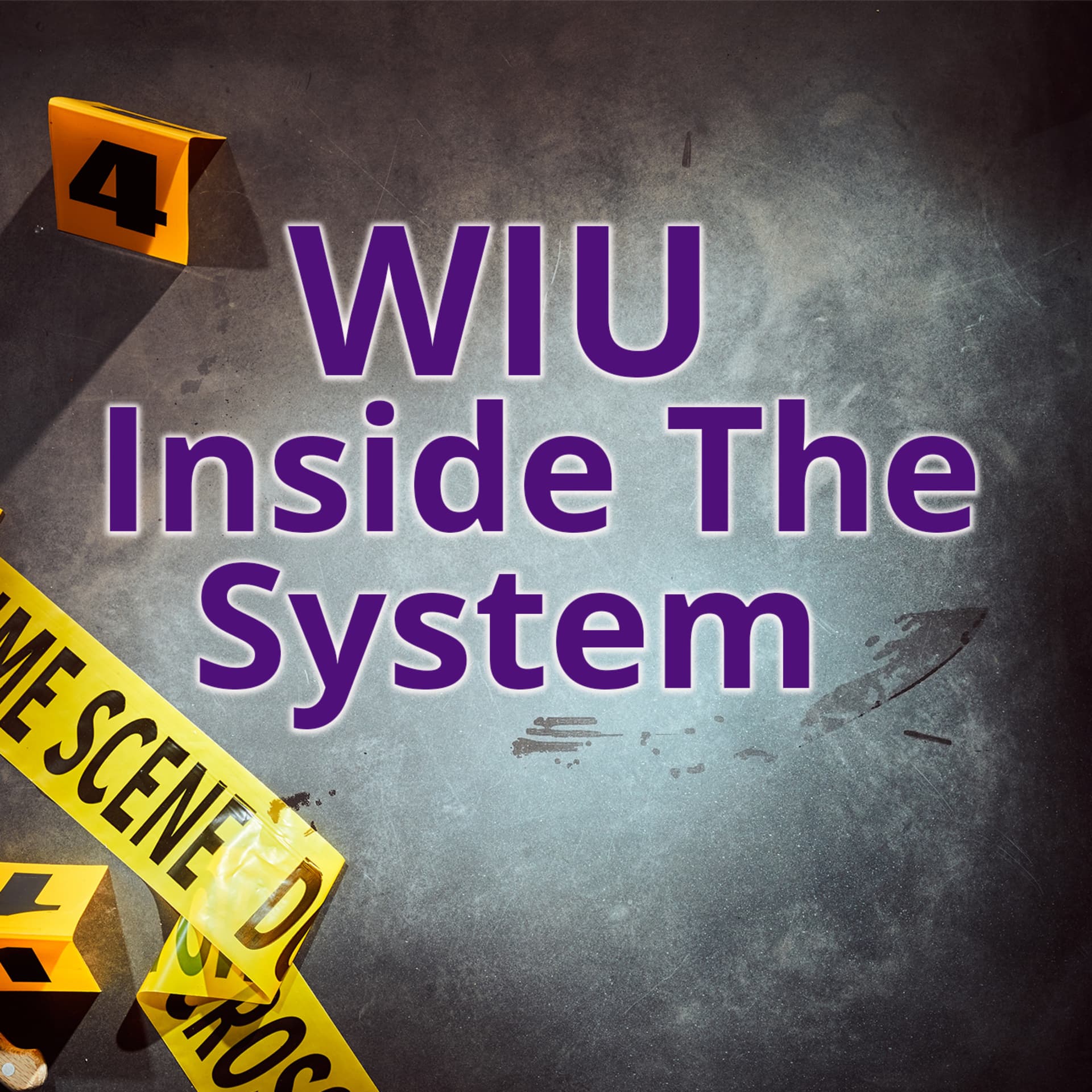 WIU: Inside the System, An LEJA Podcast - Podcasts