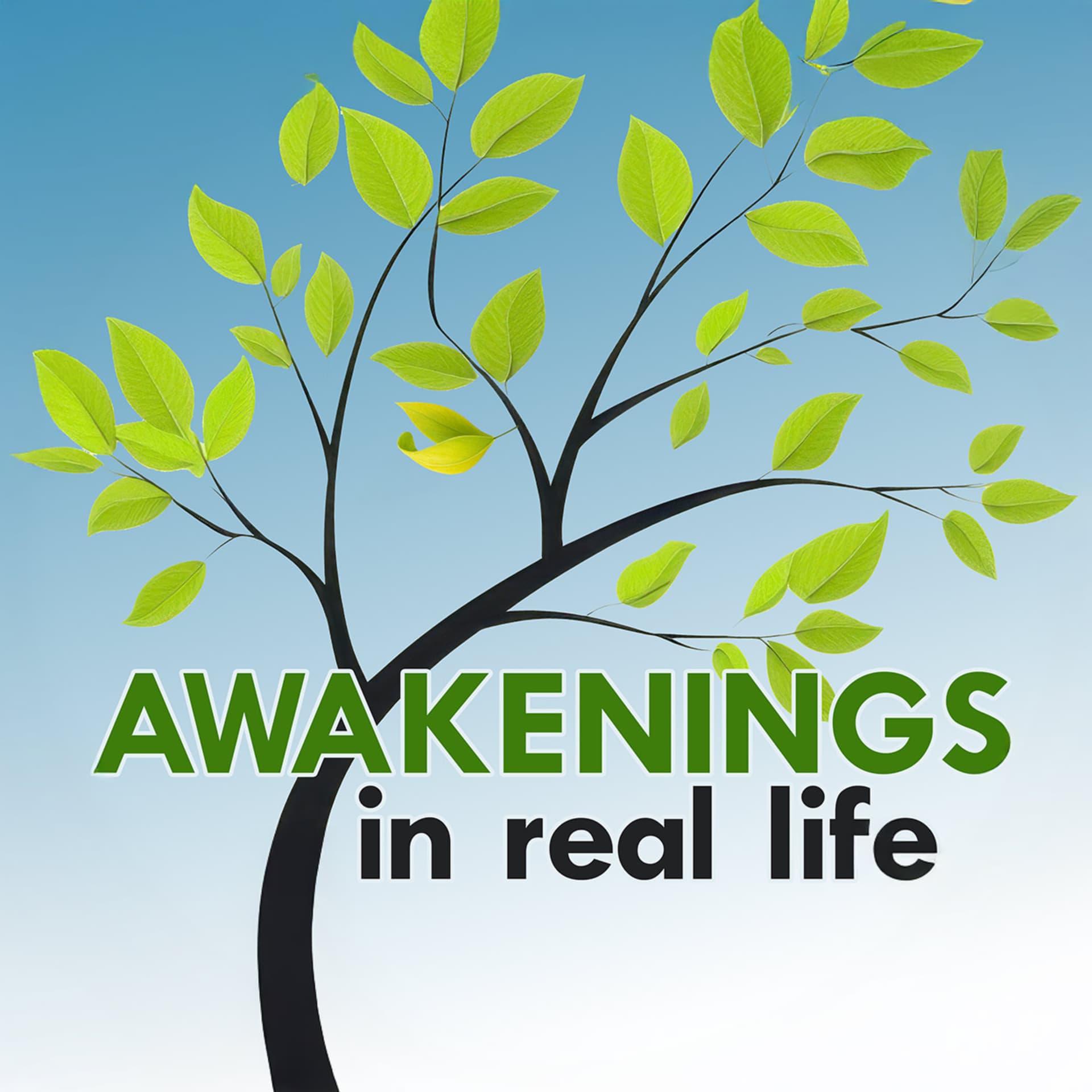Awakenings In Real Life - Podcasts