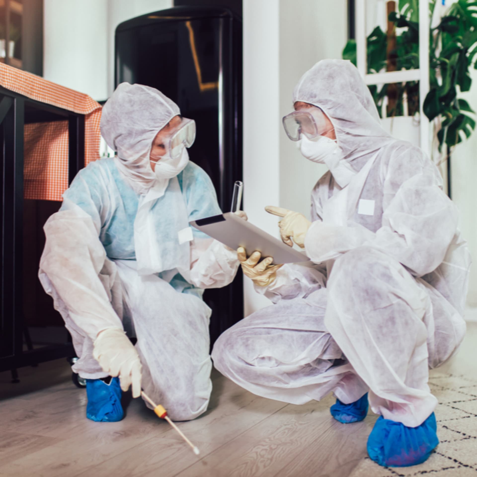 Accurate Pest Control Services LLC – Serving Dubai, Ajman, and Sharjah - Podcasts