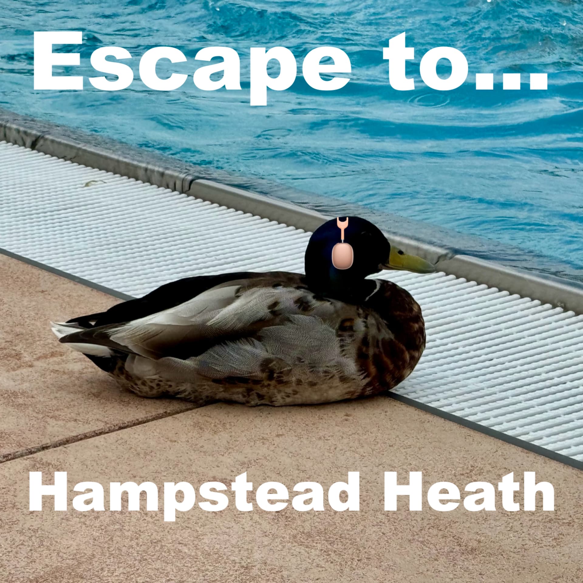Escape to Hampstead Heath - Podcasts