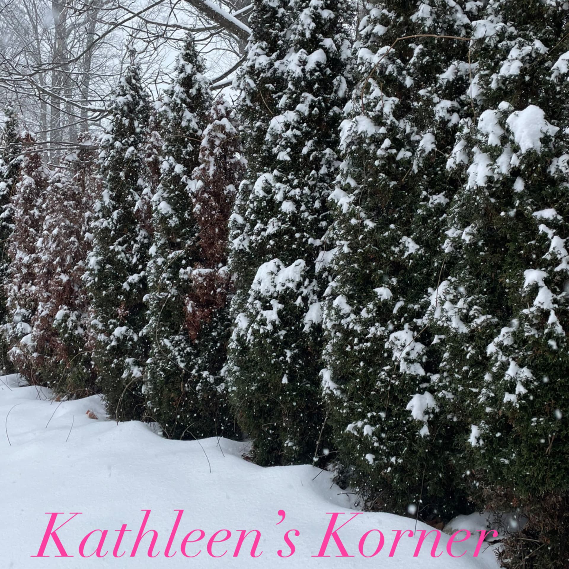 Kathleen’s Korner