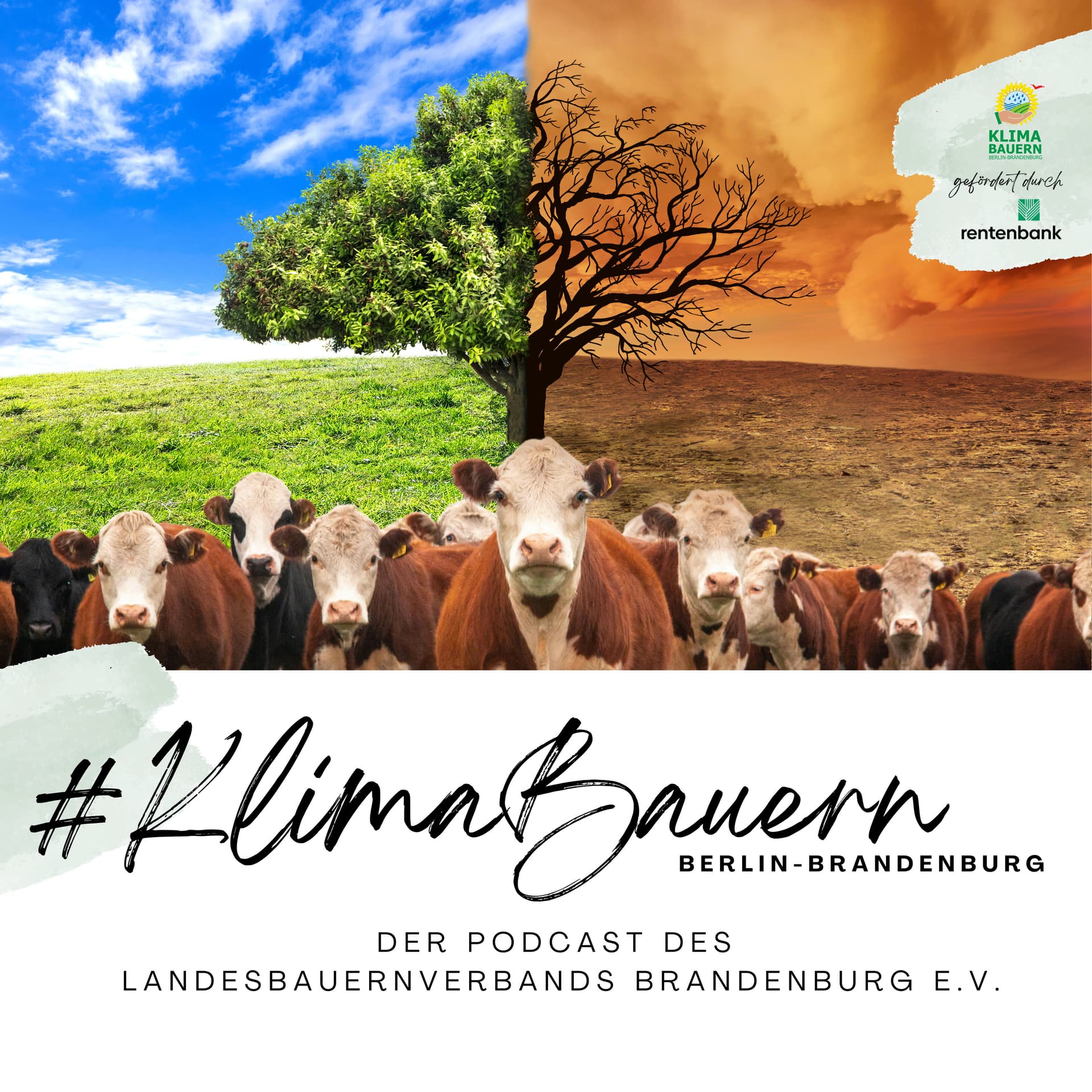 KlimaBauern: Der Podcast des Landesbauernverbands Brandenburg e. V. - Podcasts