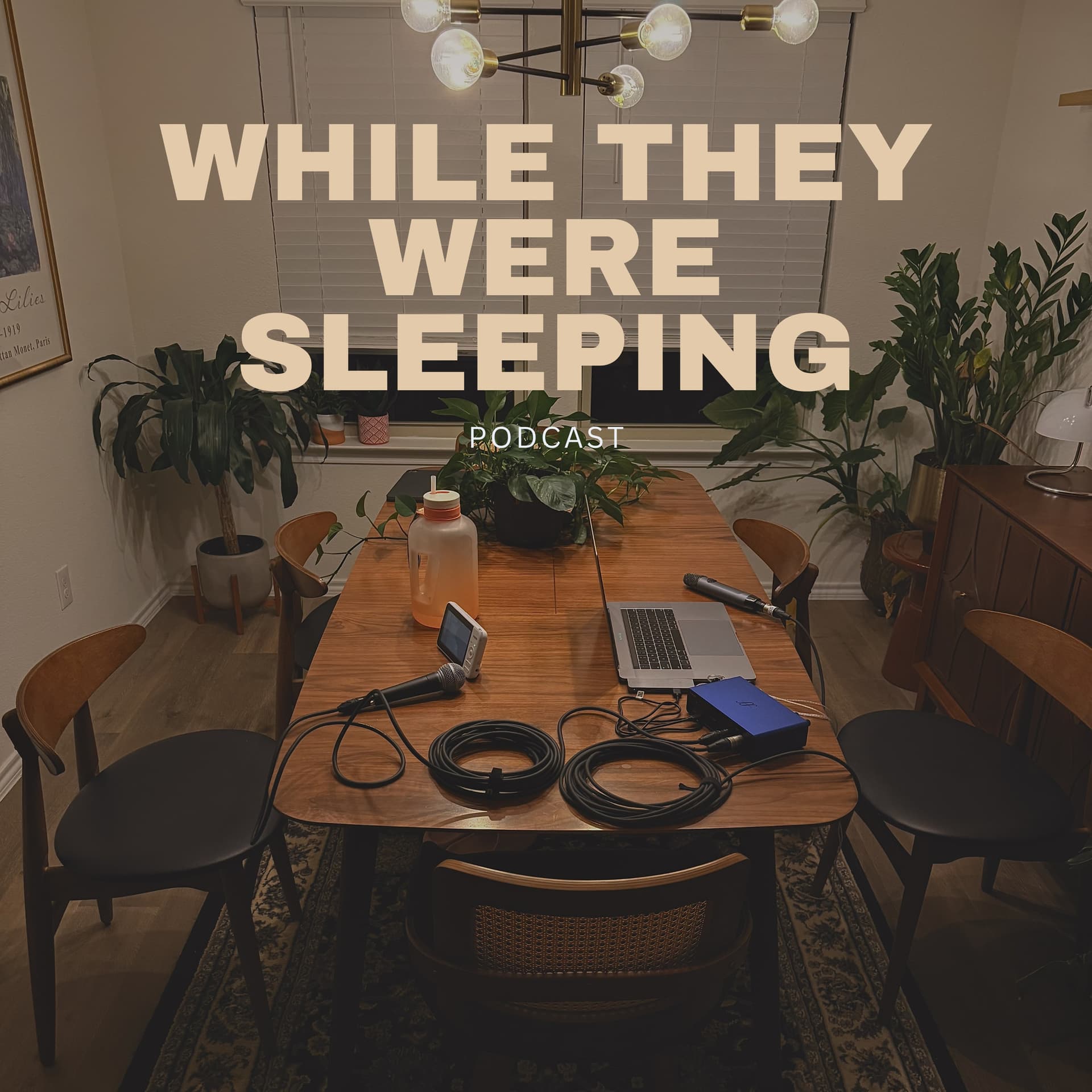 While They Were Sleeping - Podcasts