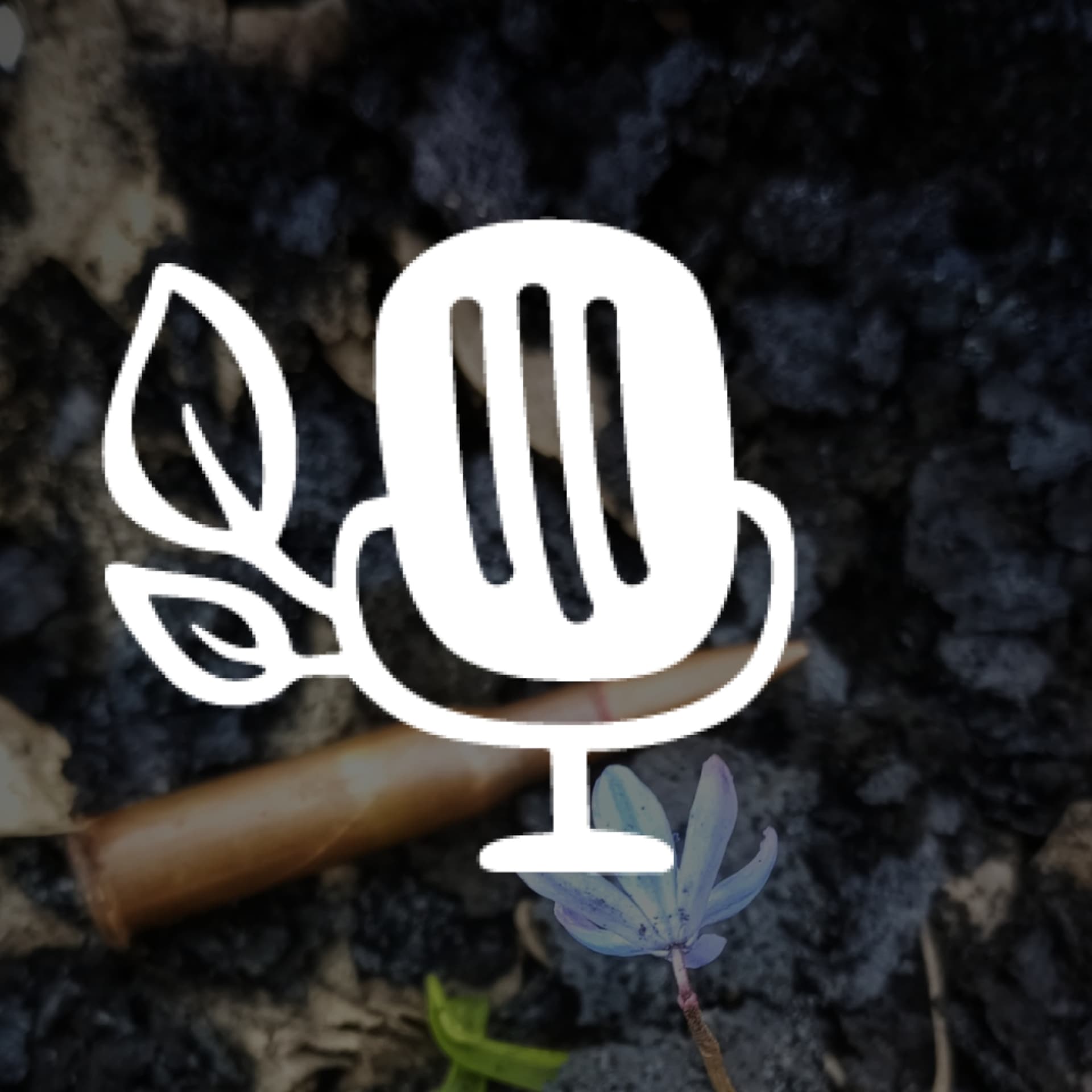 Stories of Warriors - Podcasts