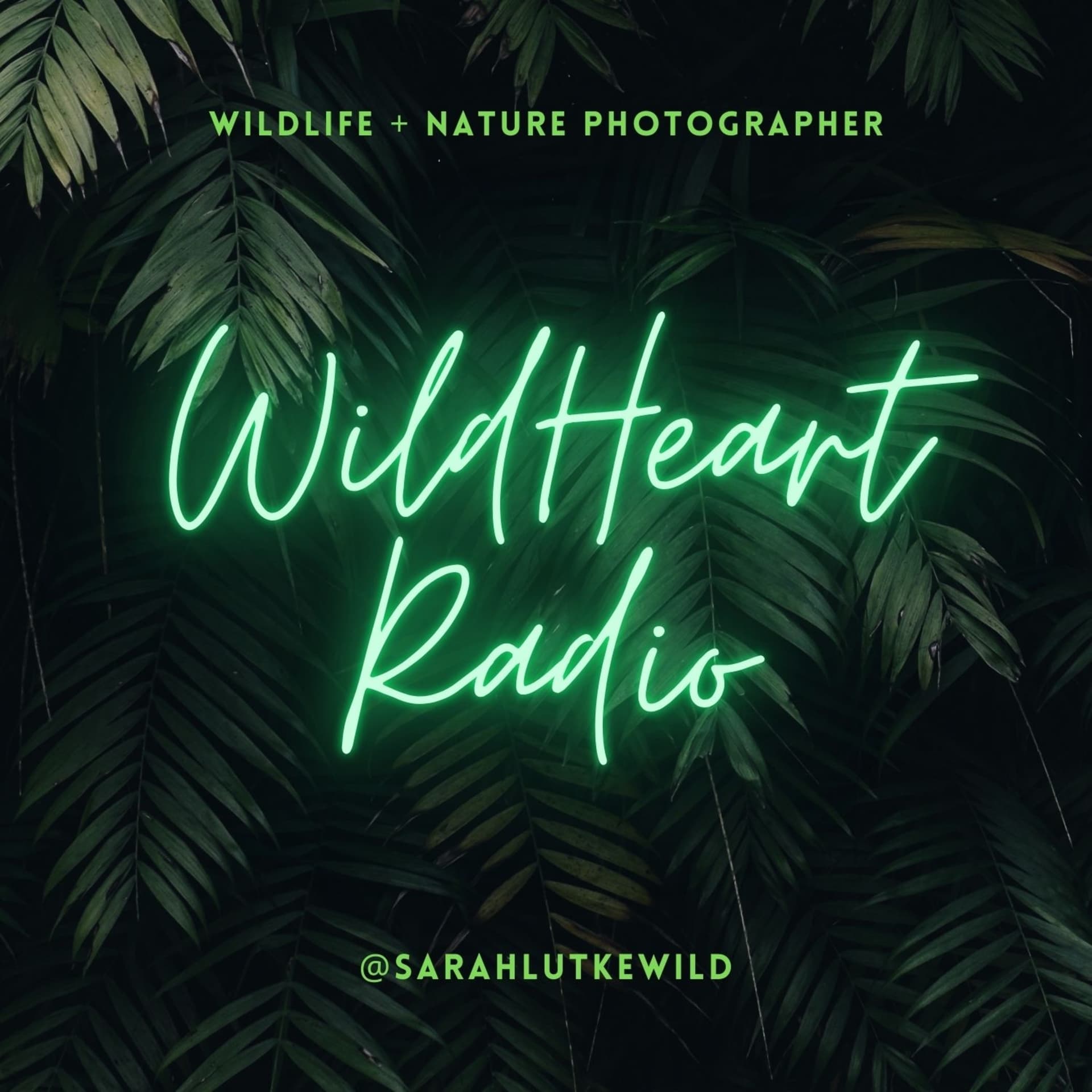 WildHeart Radio with Sarah Lutke Wild - Podcasts