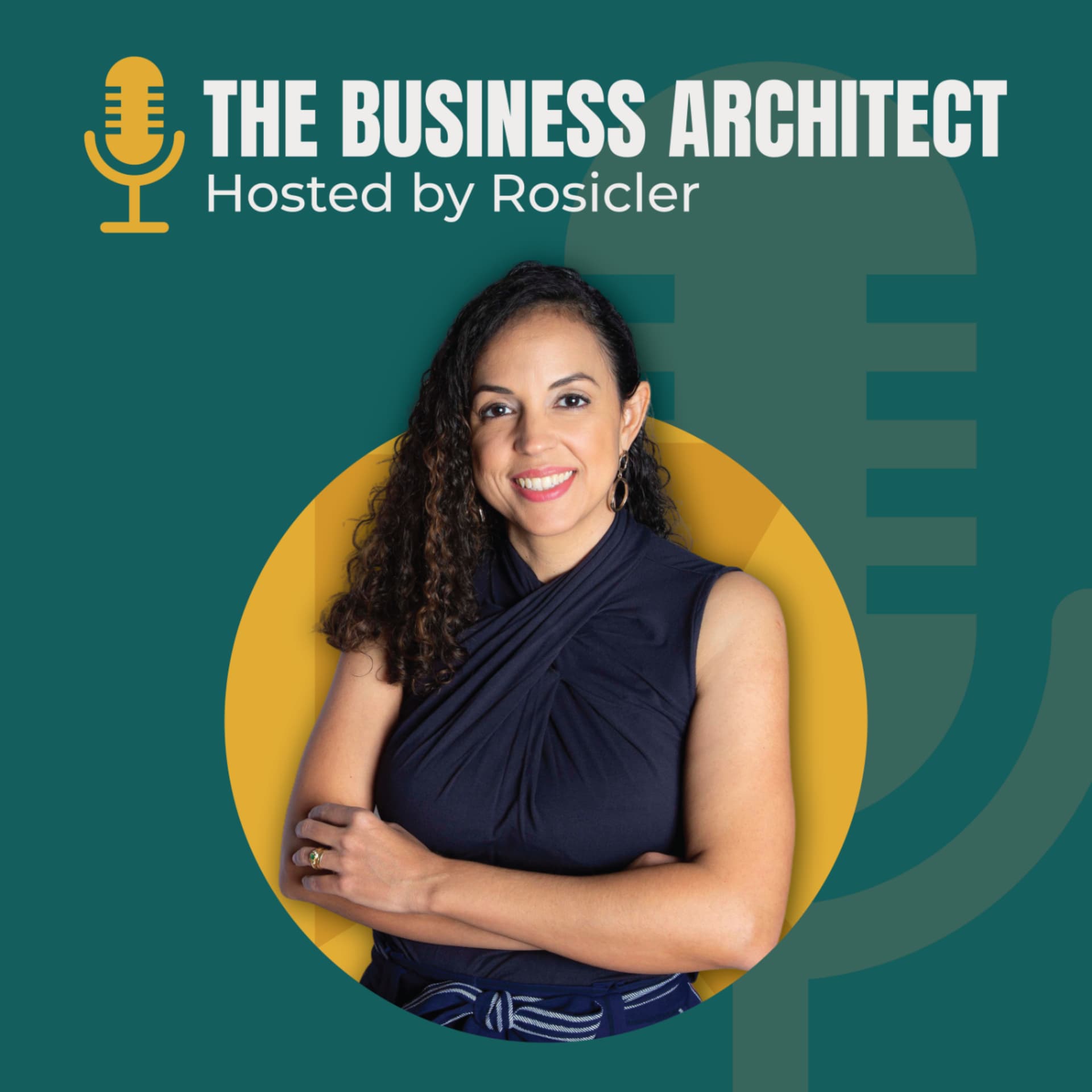 The Business Architect - Podcasts