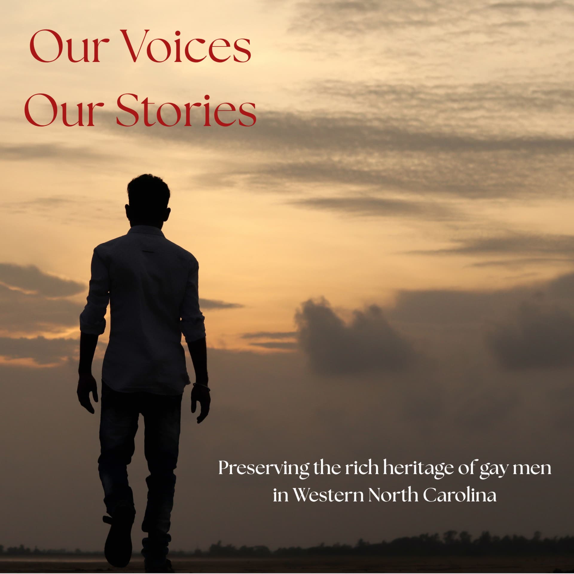 Our Voices, Our Stories: Preserving the history of gay men living in Western North Carolina. - Podcasts