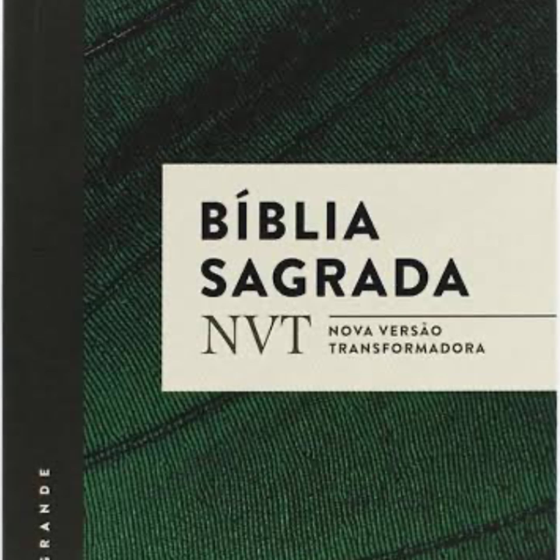Leitura da Bíblia NVT ( Nova Versão Transformadora) - Podcasts