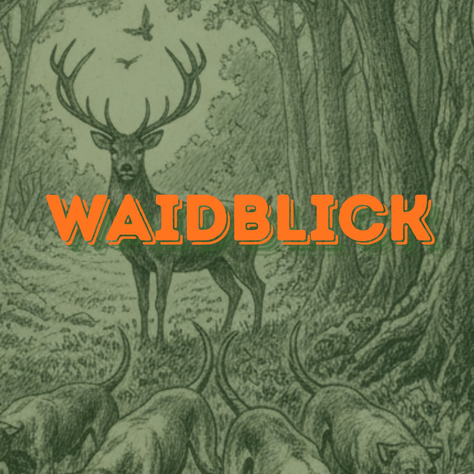 WAIDBLICK - Podcasts