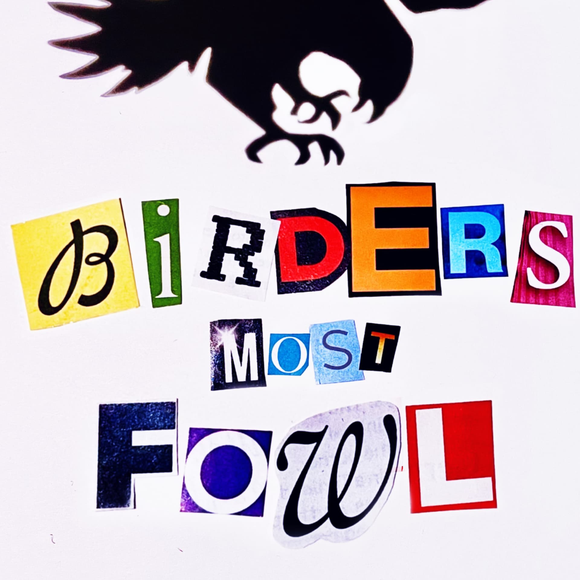Birders Most Fowl
