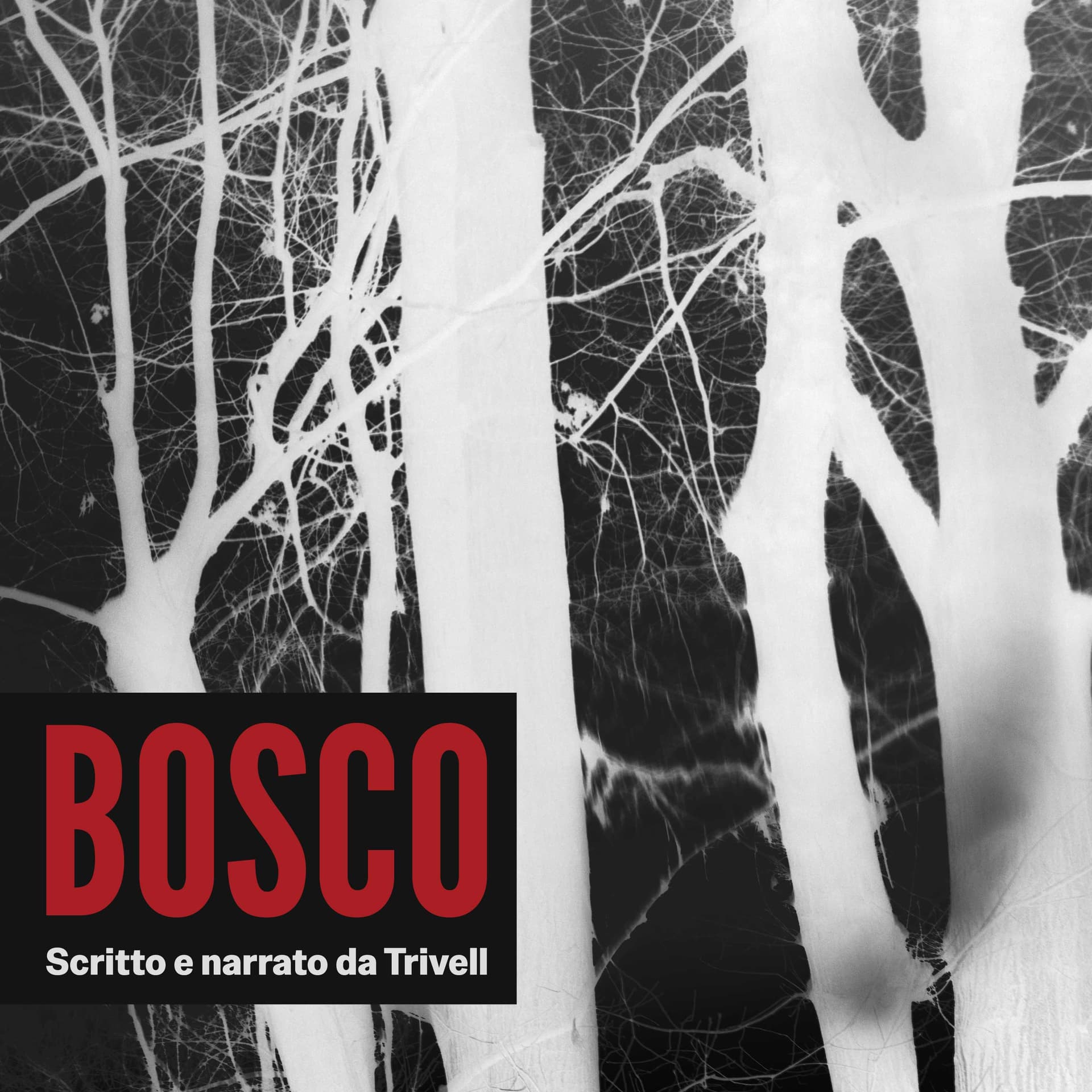Bosco -Cronache all'ombra della provincia- - Podcasts