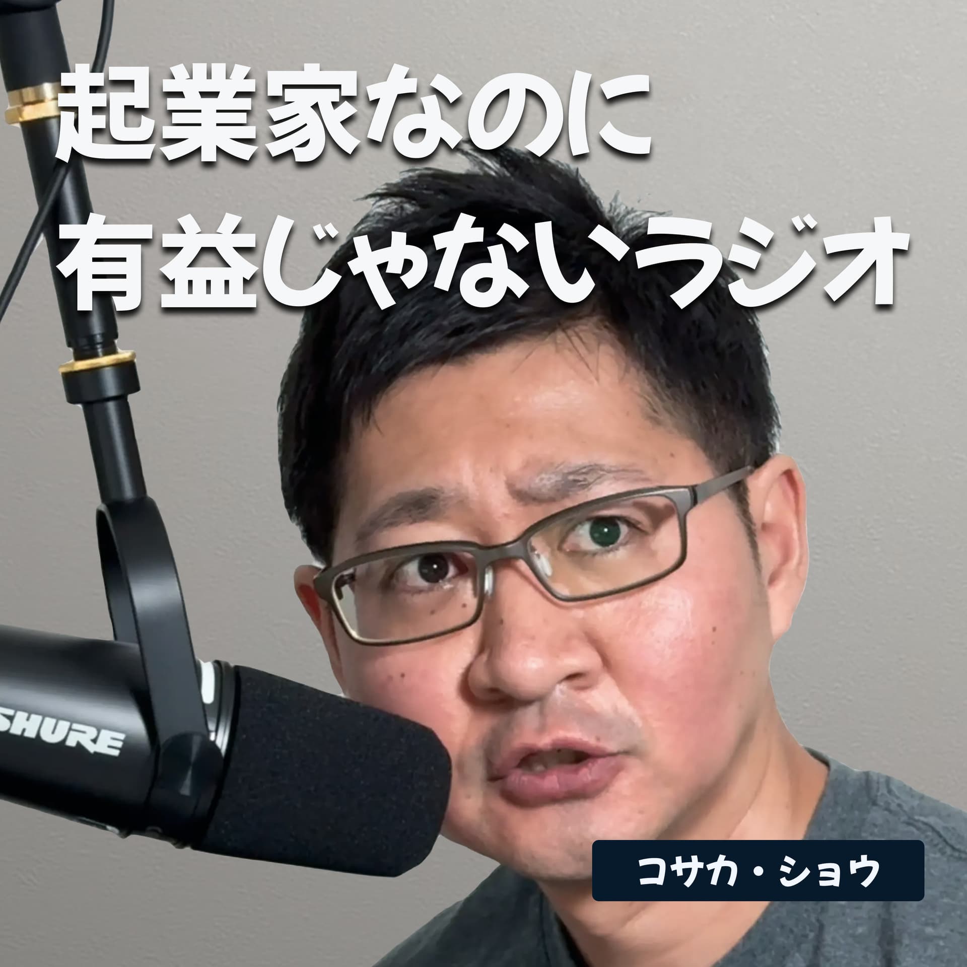 起業家なのに有益じゃないラジオ - Podcasts