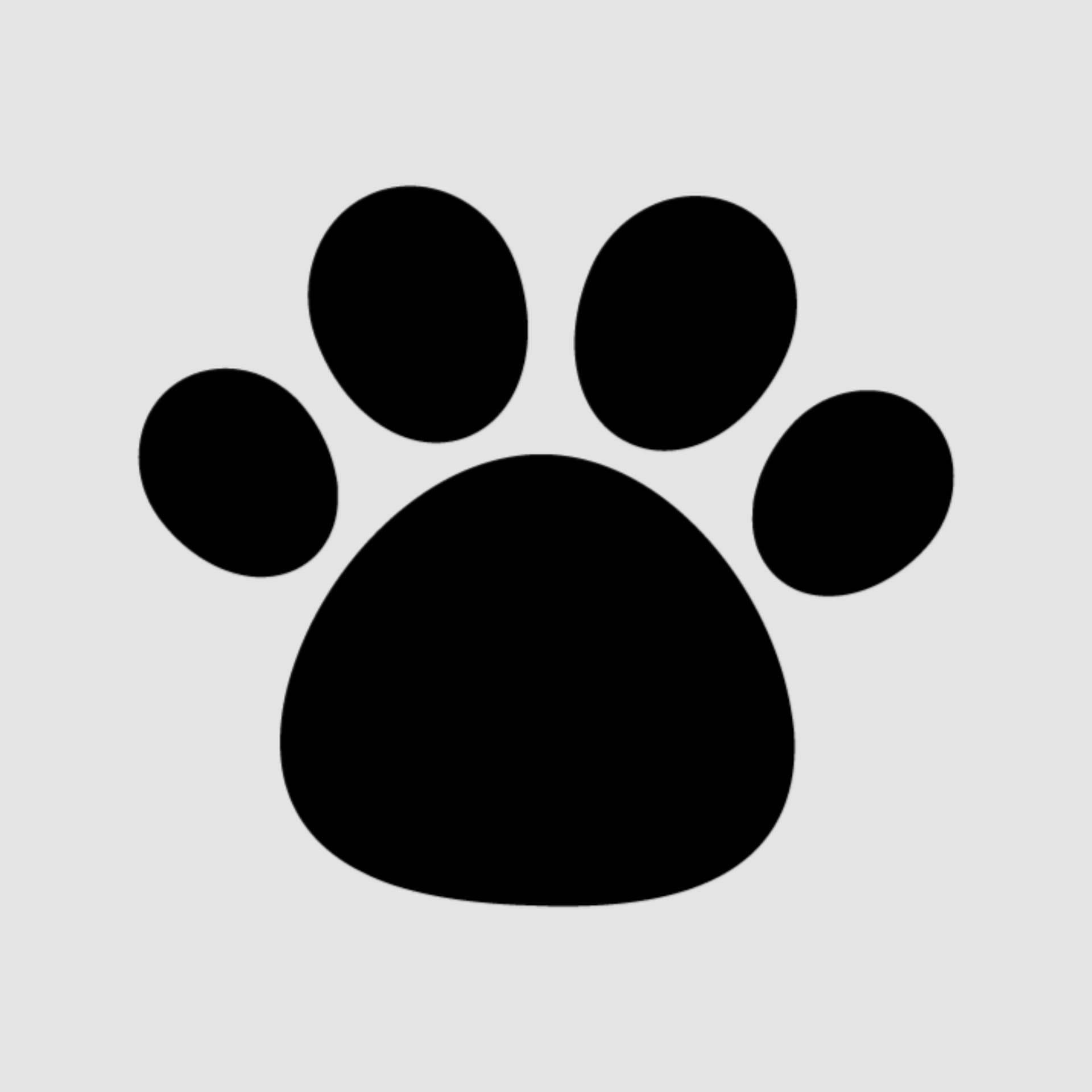 ゆう先生の発達講座 - Podcasts