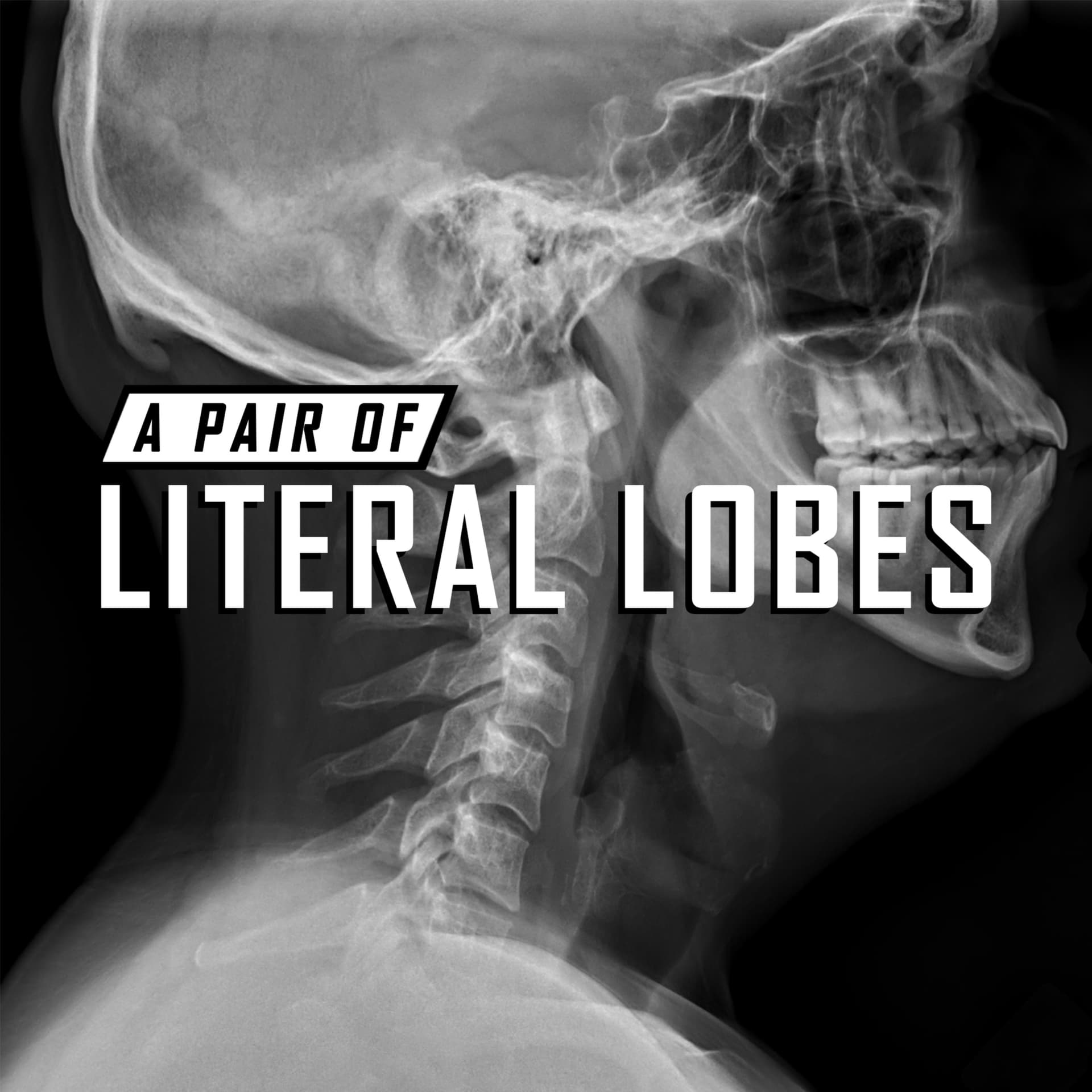 A Pair of Literal Lobes - Podcasts