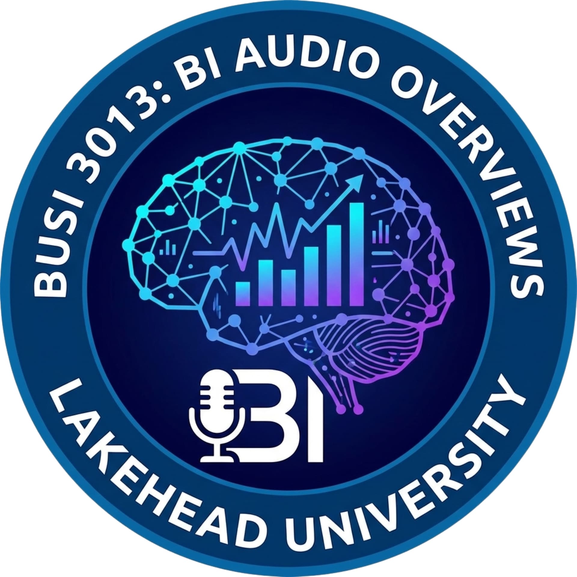 Business Intelligence Class Audio Overviews (BUSI3013) - Podcasts