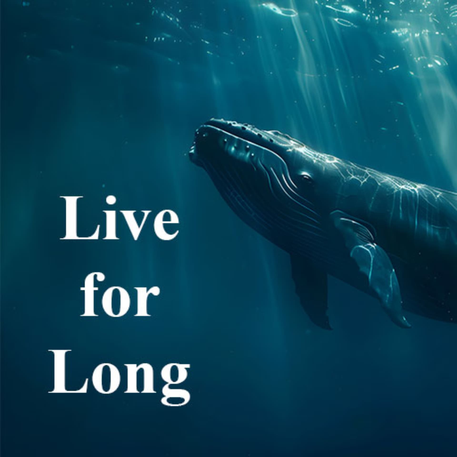 Live for Long - Building a Life Worth Living, Every Day - Podcasts