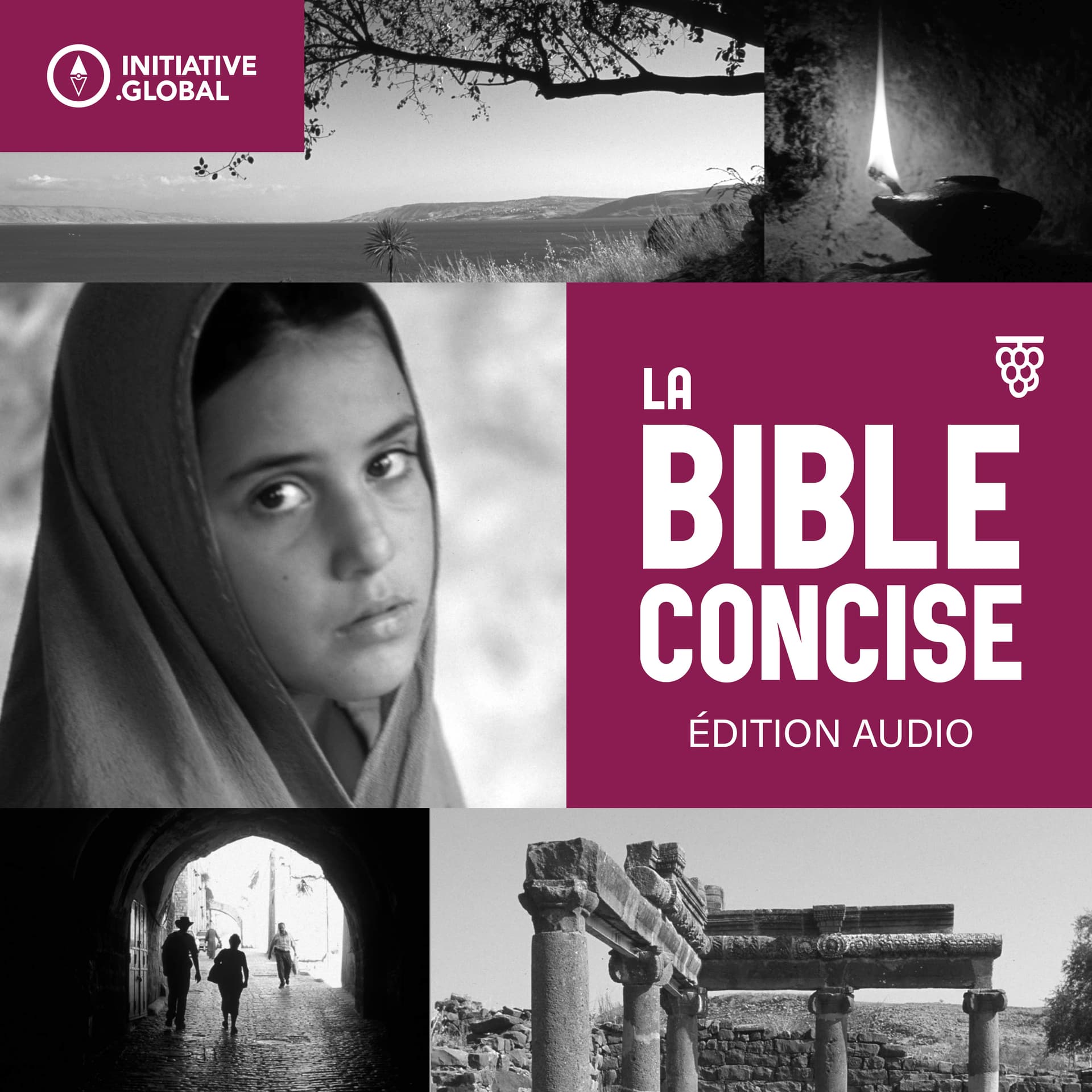 LA BIBLE CONCISE ÉDITION AUDIO - Podcasts