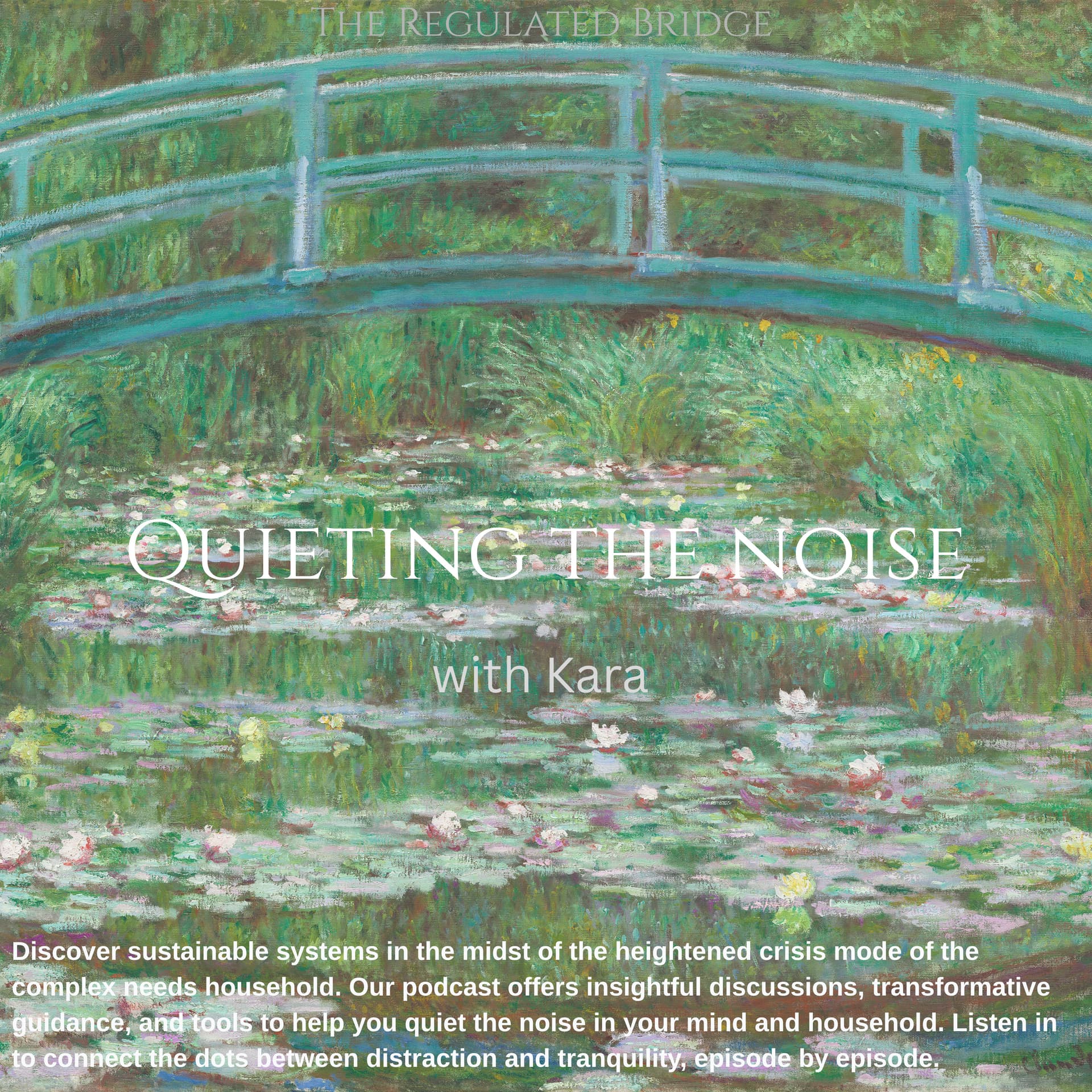 Quieting The Noise - Podcasts