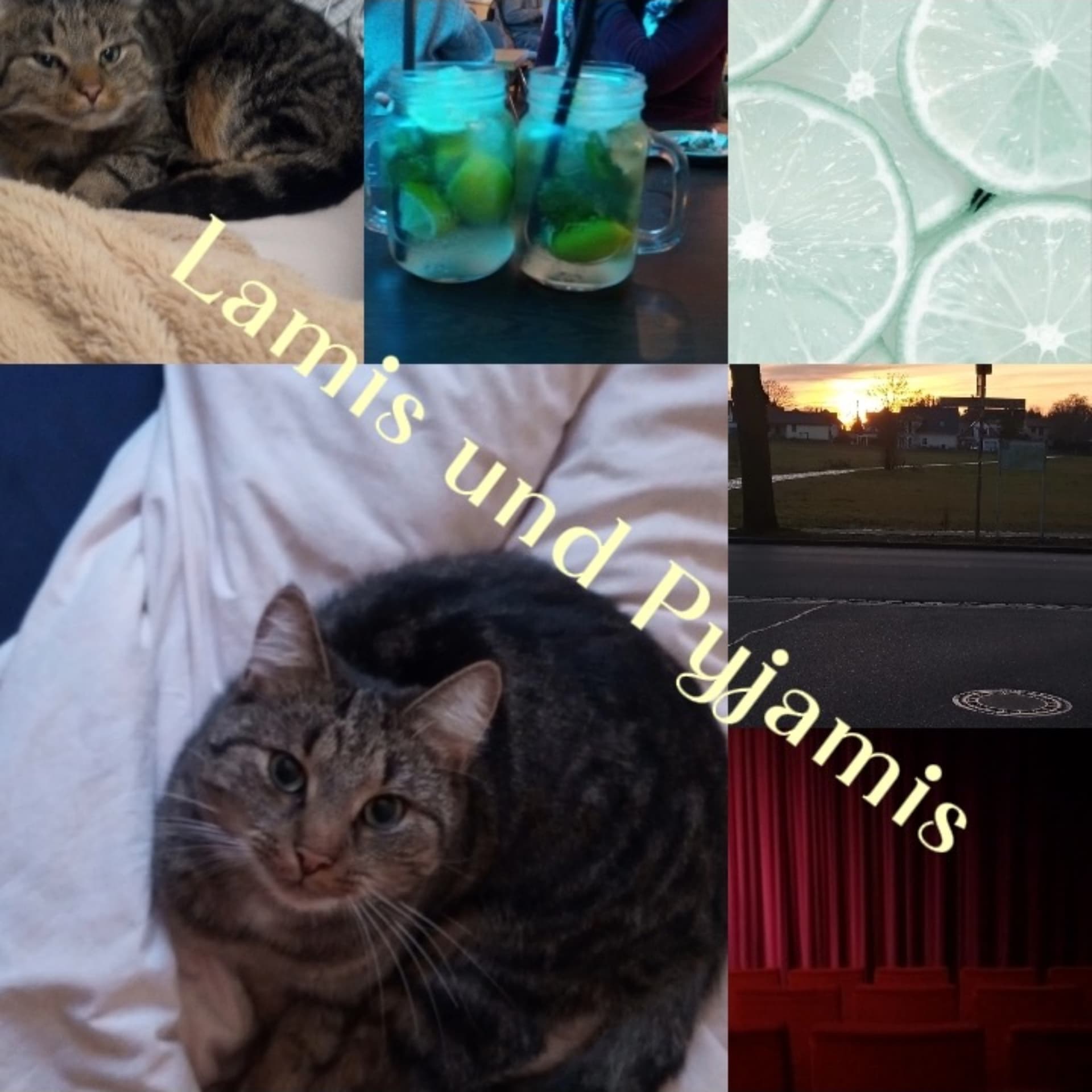 Lamis und Pyjamis - Podcasts