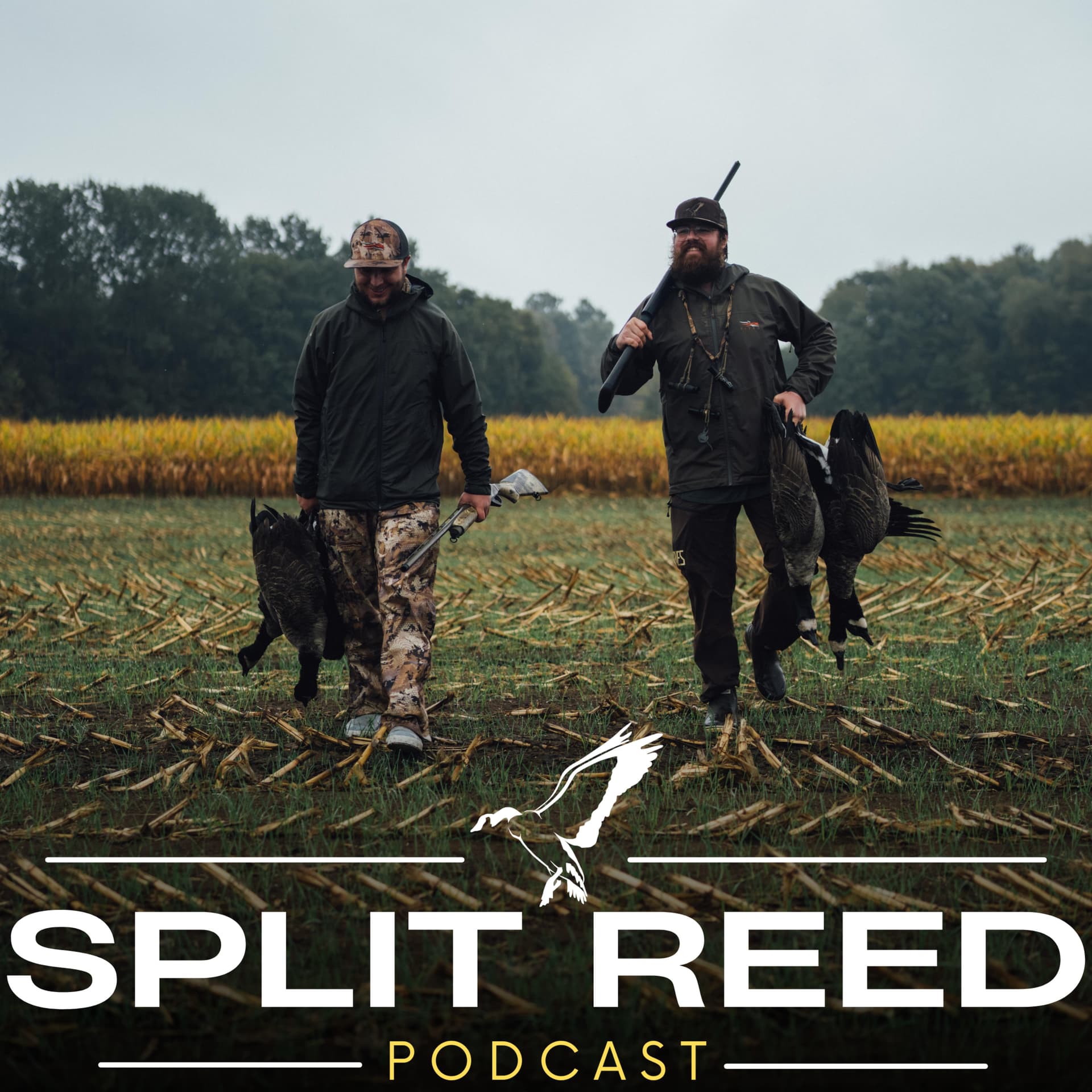 Split Reed Podcast - Podcasts