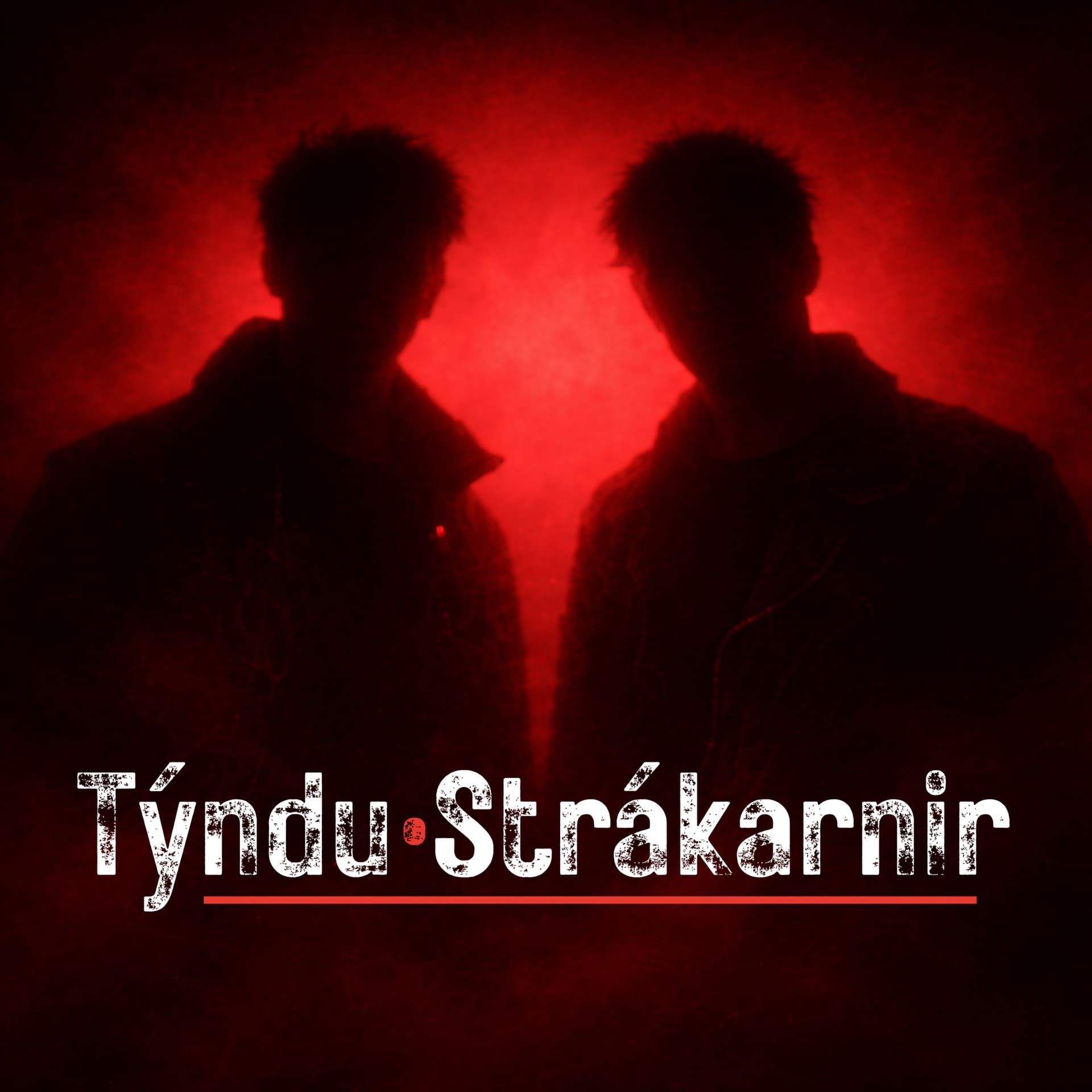 Týndu Strákarnir: Hlaðvarp um kerfið, veggina og afleiðingarnar - Podcasts
