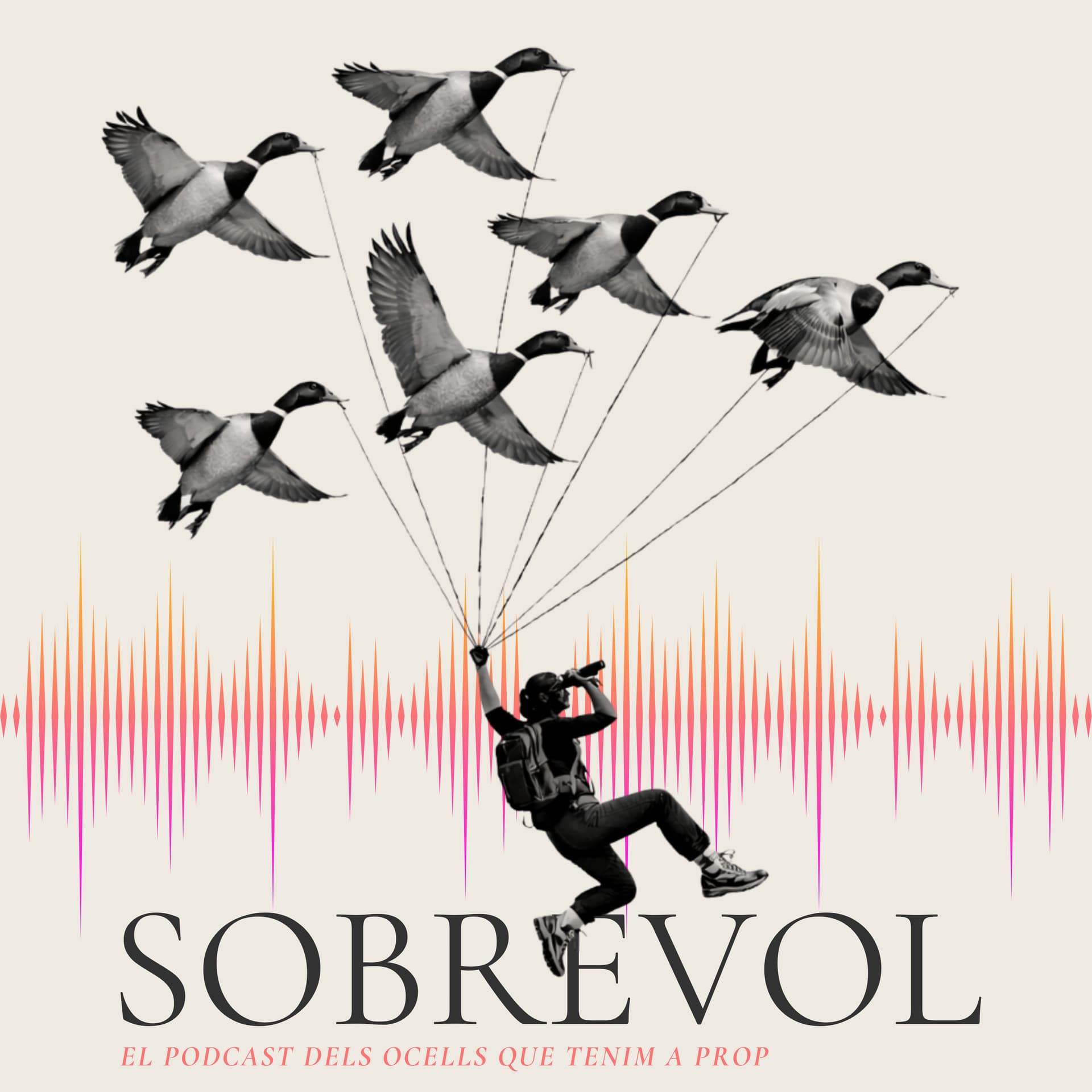 Sobrevol - Podcasts