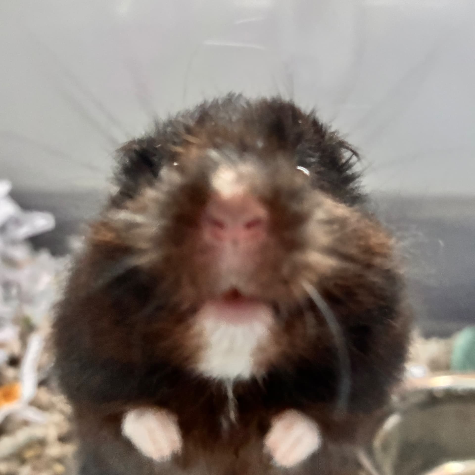 Bajki do snu