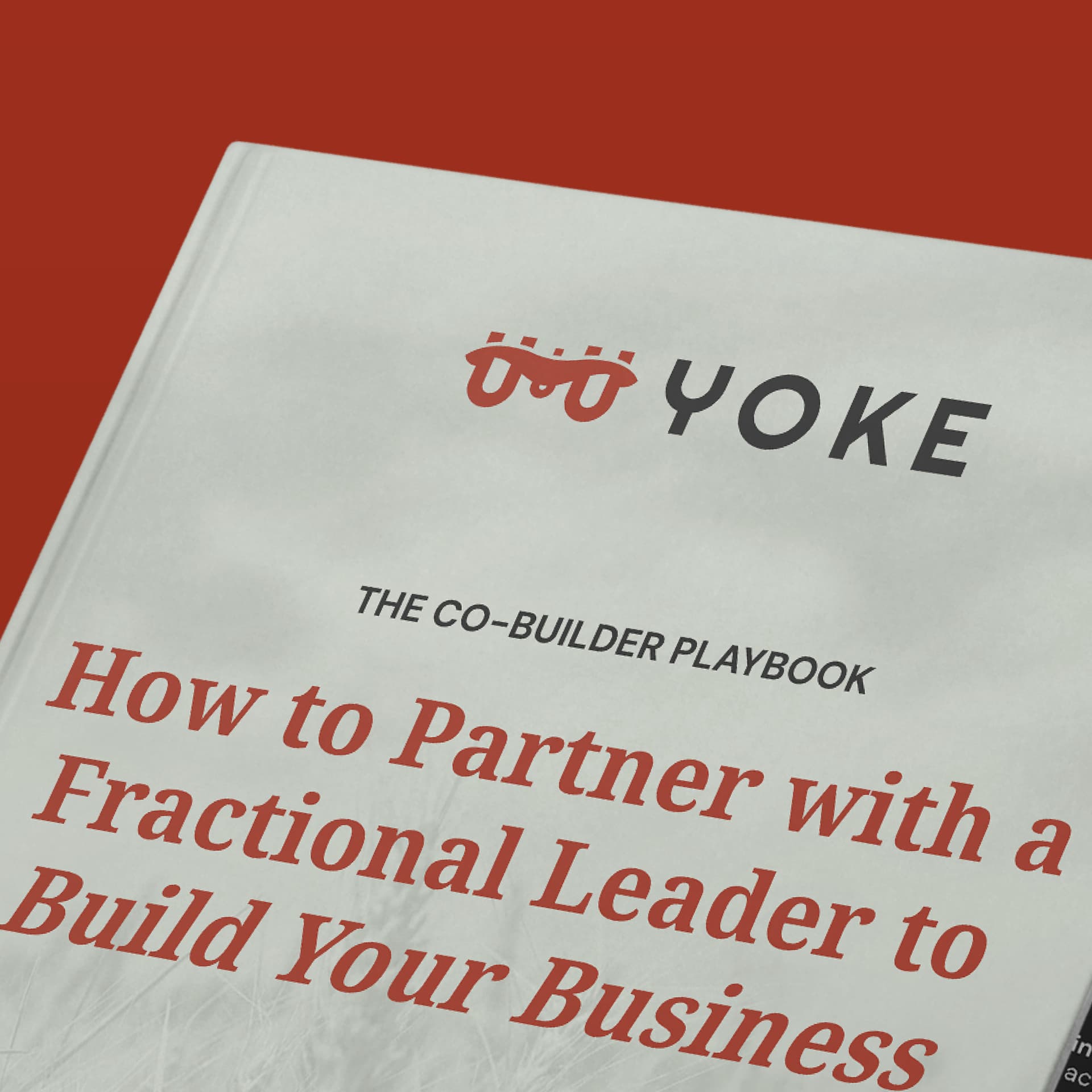 The Co-Builder Playbook: How to Partner with a Fractional Leader to Build Your Business - Podcasts