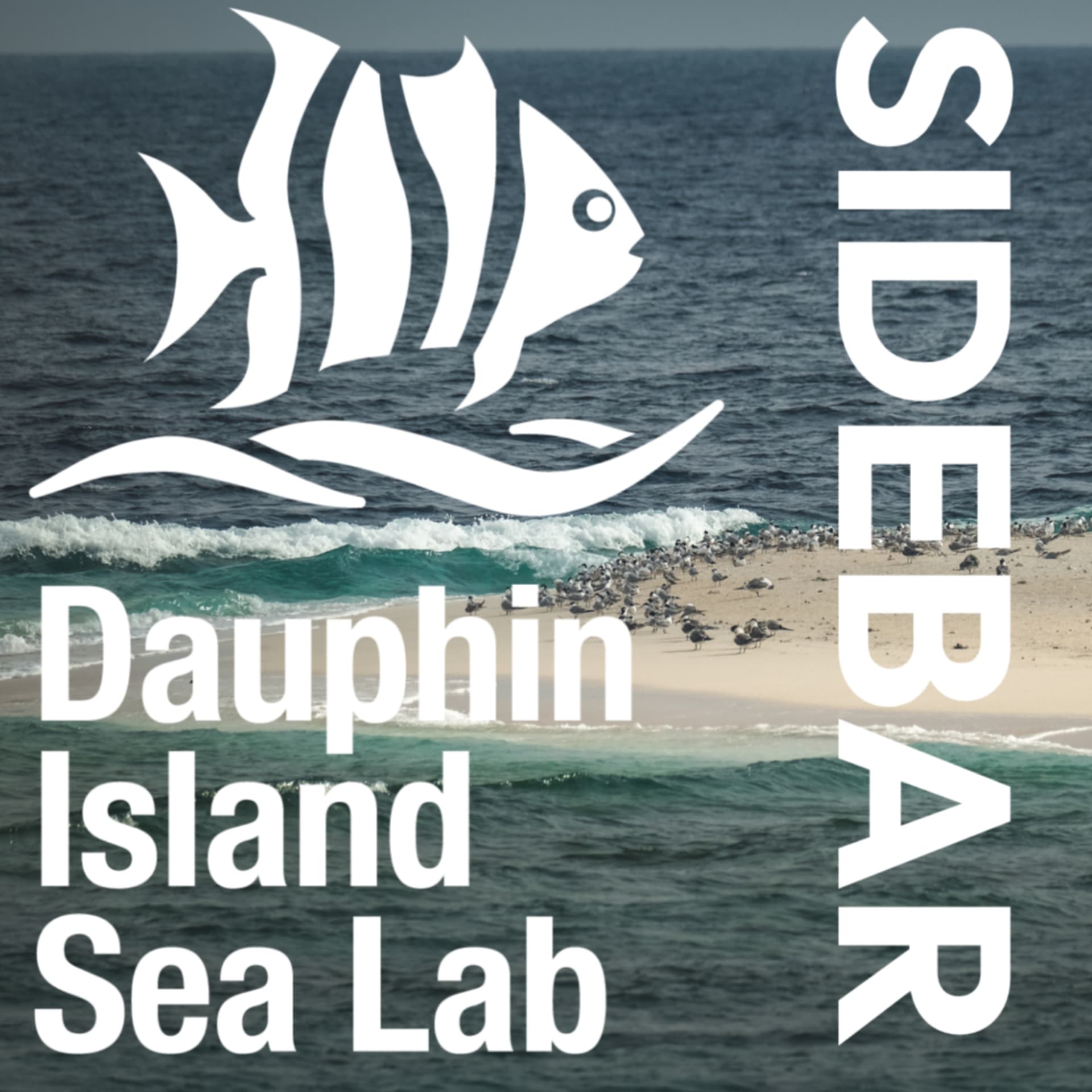Sea Lab Sidebar - Podcasts