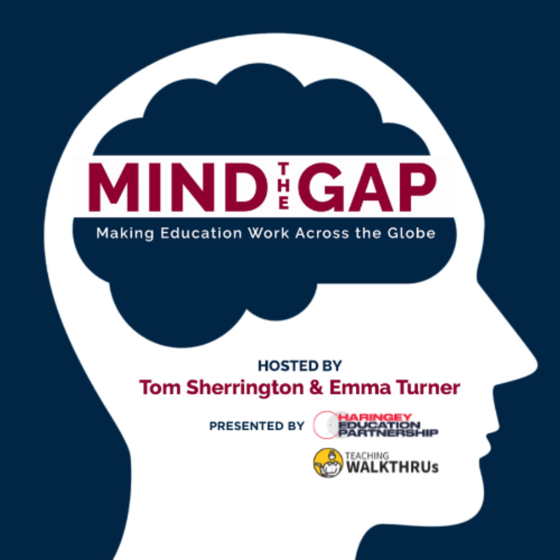 Mind the Gap: Making Education Work Across the Globe - Podcasts