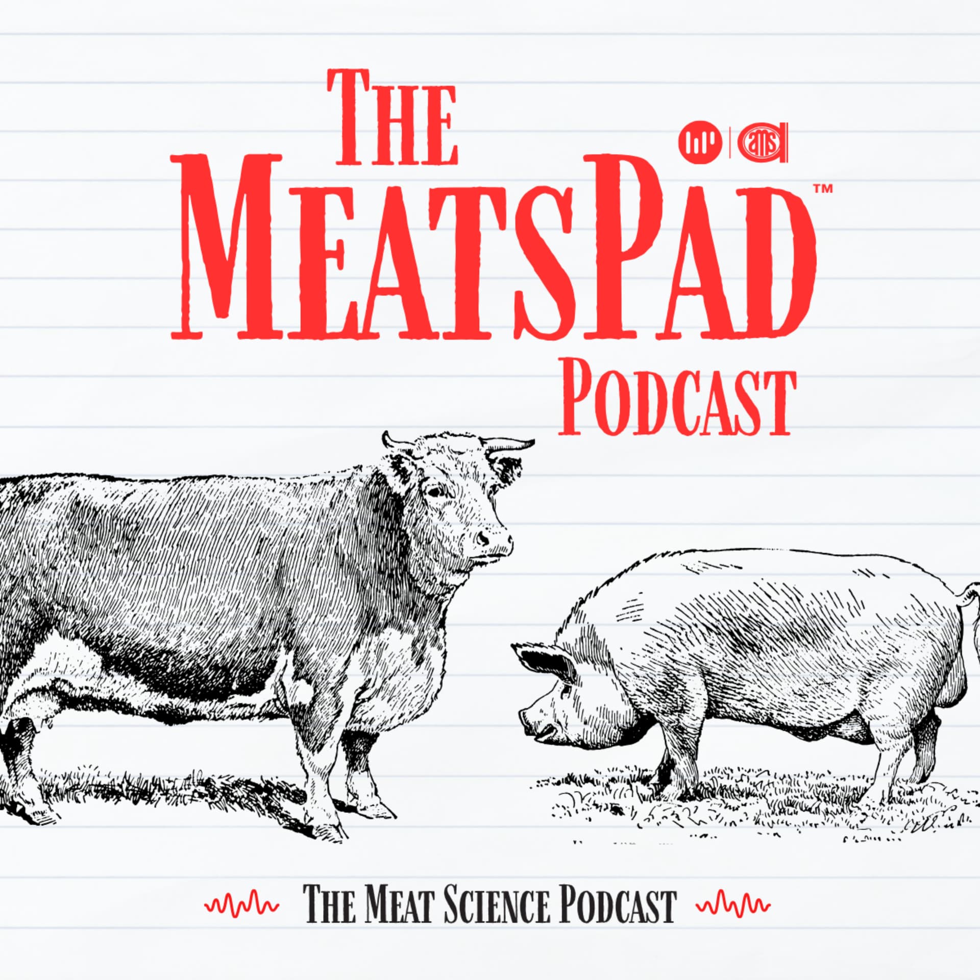 MeatsPad - Podcasts
