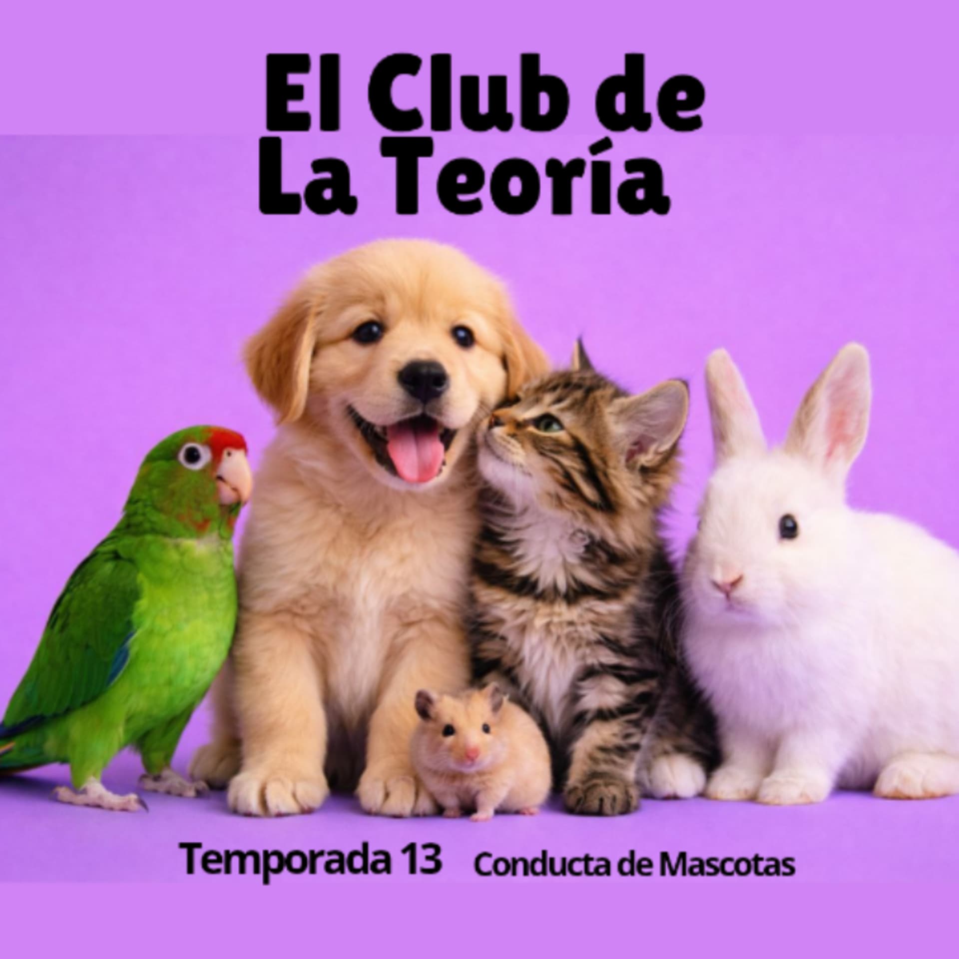 EL CLUB DE LA TEORÍA - Podcasts