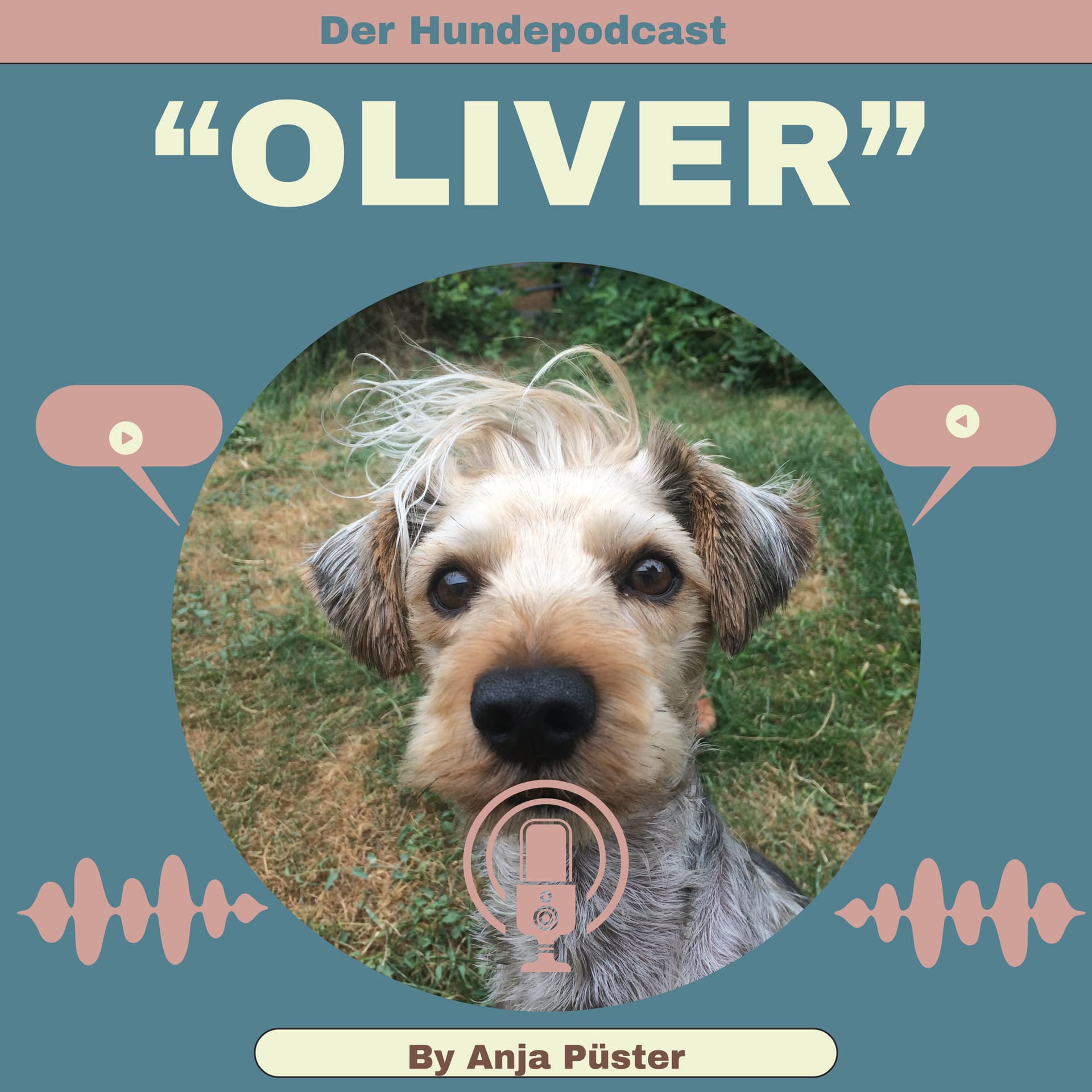 Oliver – der Hundepodcast: Beziehung statt Erziehung - Podcasts