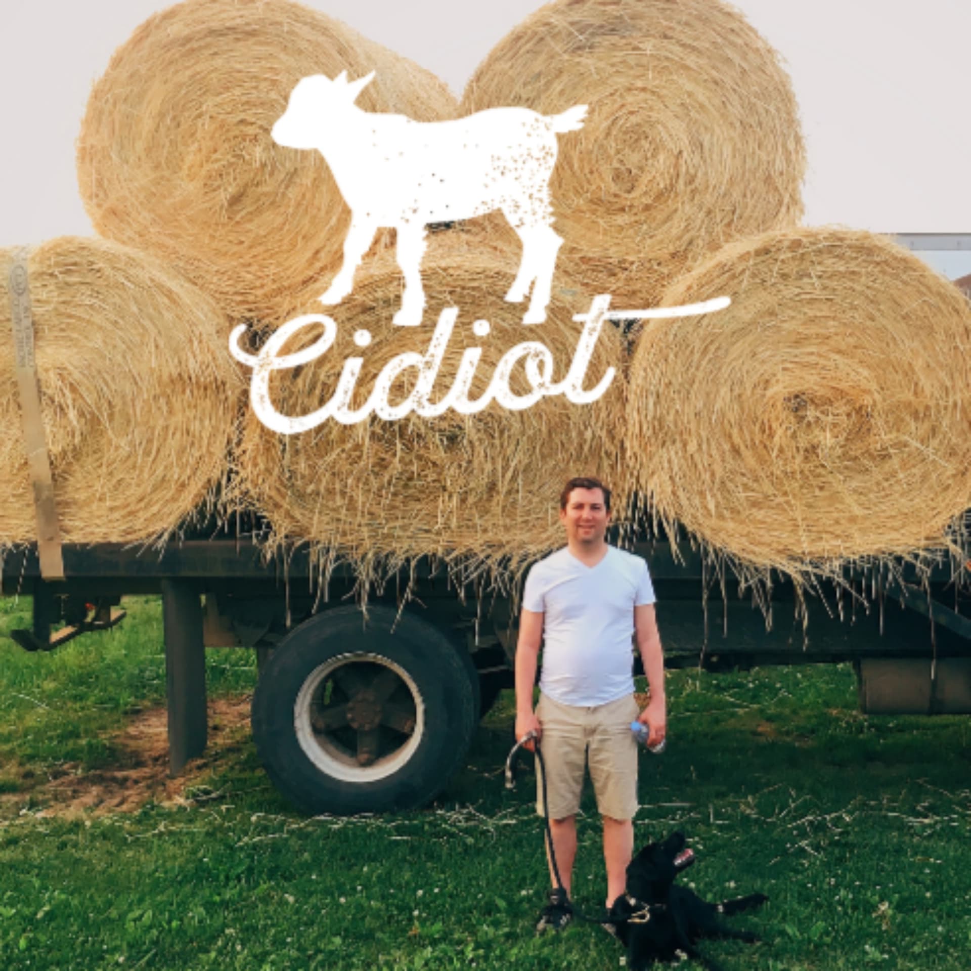 Cidiot - Podcasts