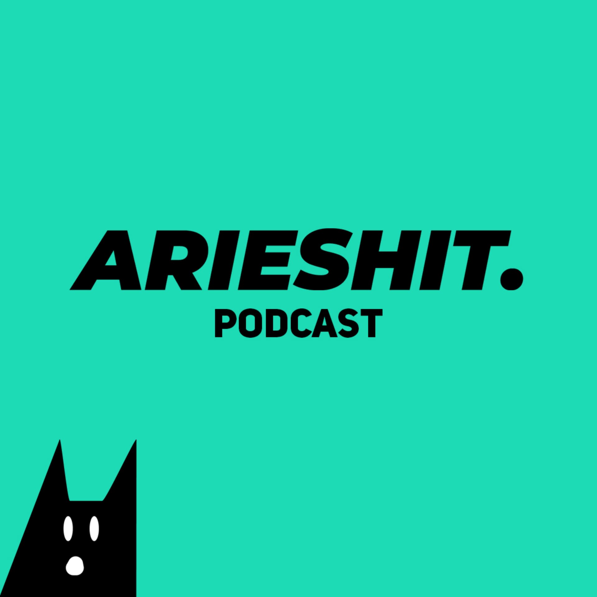 AriesHit Podcast - Podcasts