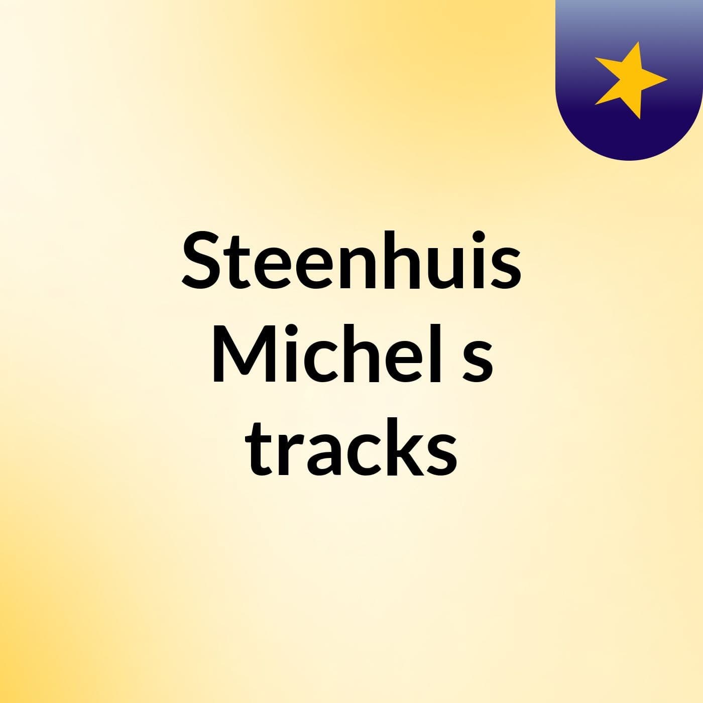 Steenhuis Michel's tracks