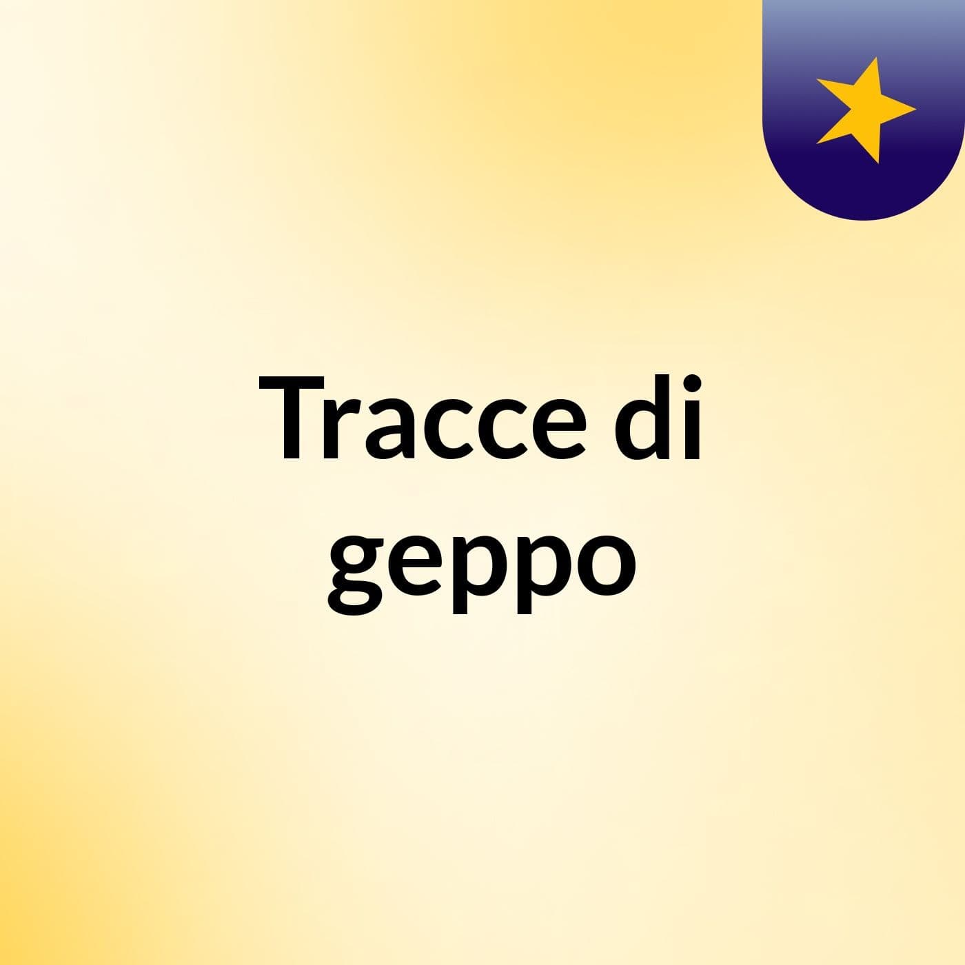 Tracce di geppo