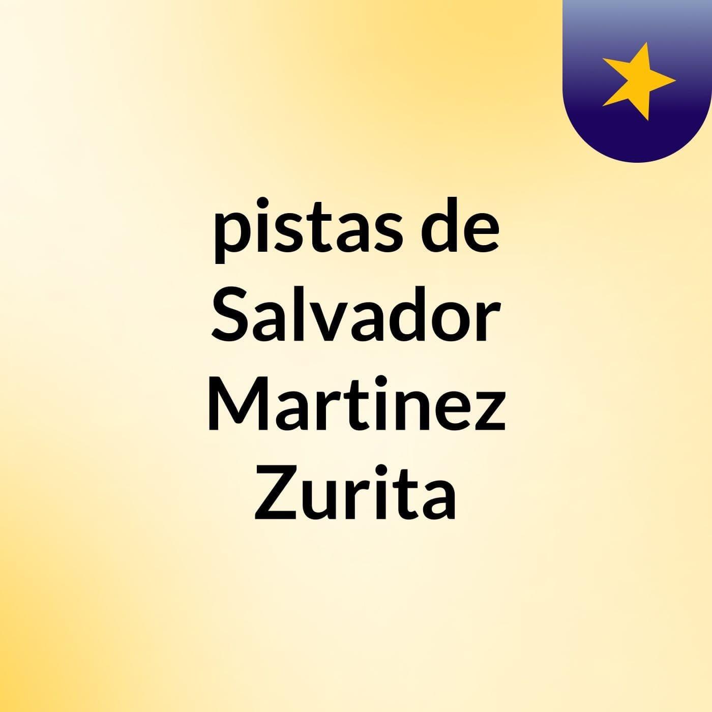 pistas de Salvador Martinez Zurita