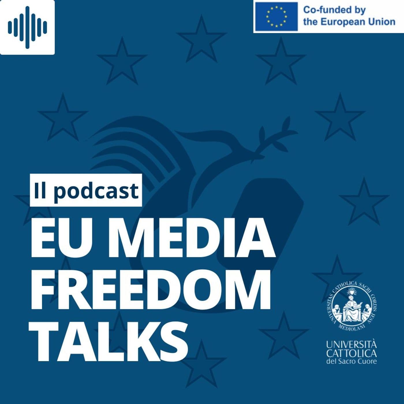 EU Media Freedom Talks - Podcasts